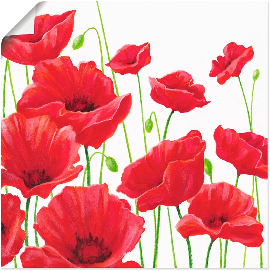 Artland Wandbild "Rote Mohnblumen I", Blumen, (1 St.), als Alubild, Outdoor günstig online kaufen