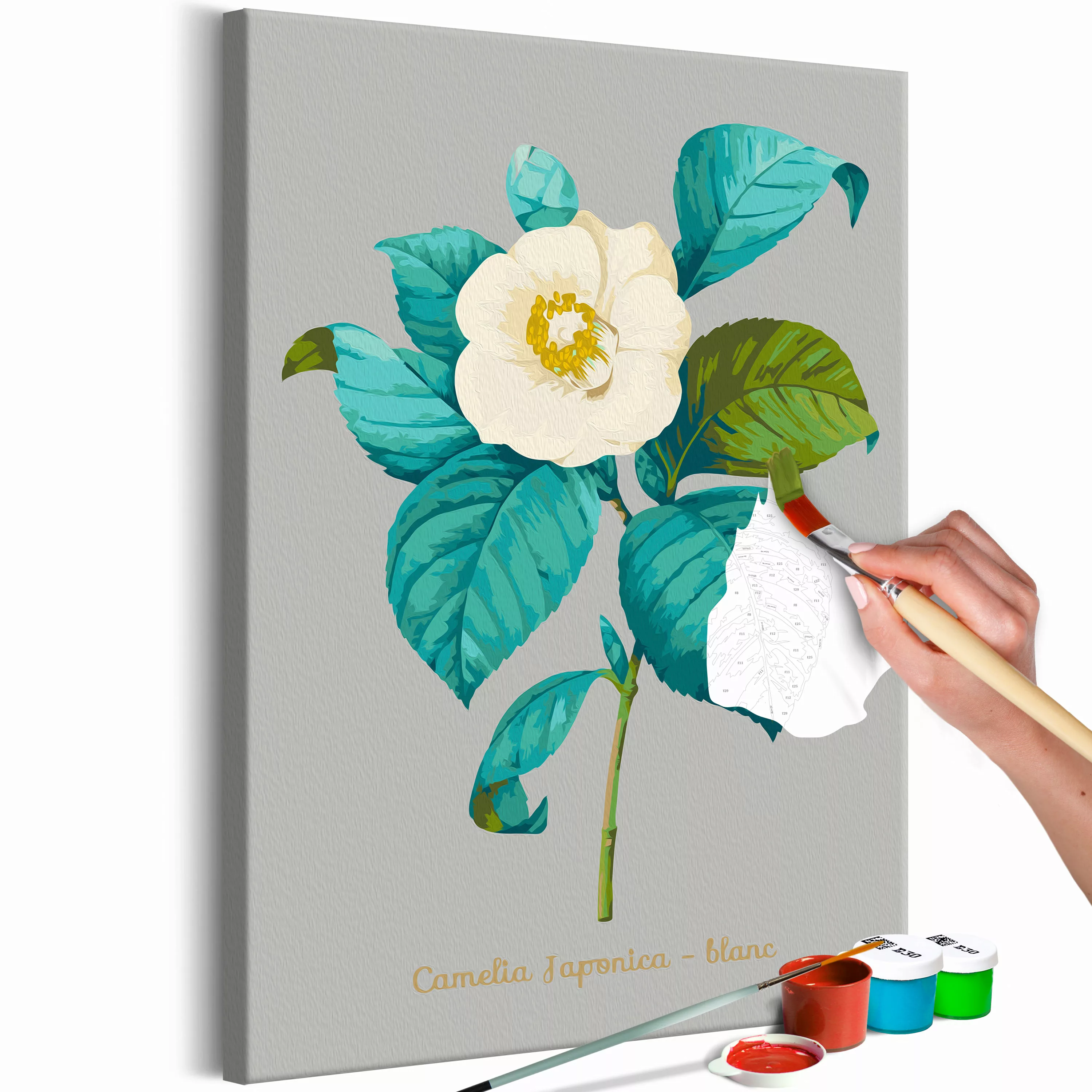 Malen Nach Zahlen - Beautiful Camellia günstig online kaufen