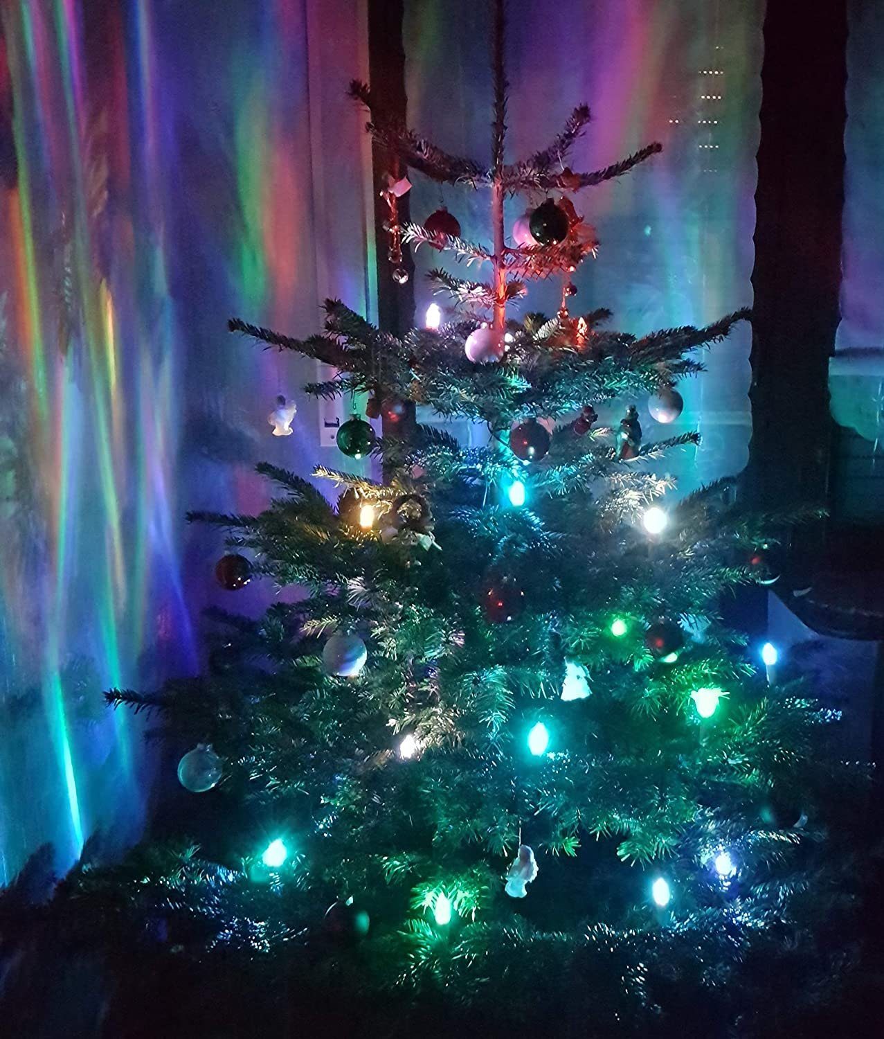 TRANGO LED-Christbaumkerzen, 24-flammig, mit Stecksystem Innenbereich günstig online kaufen