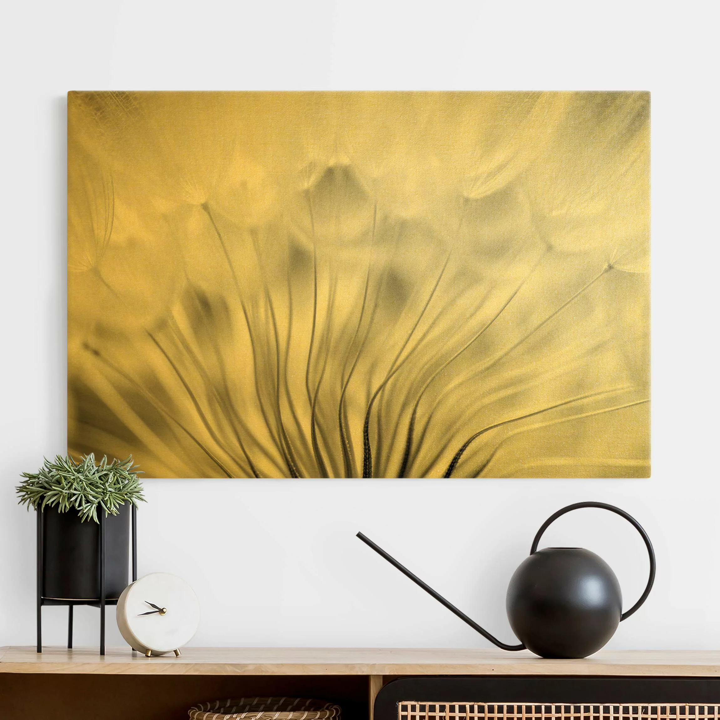 Leinwandbild Traumhafte Pusteblume Schwarz-Weiß günstig online kaufen