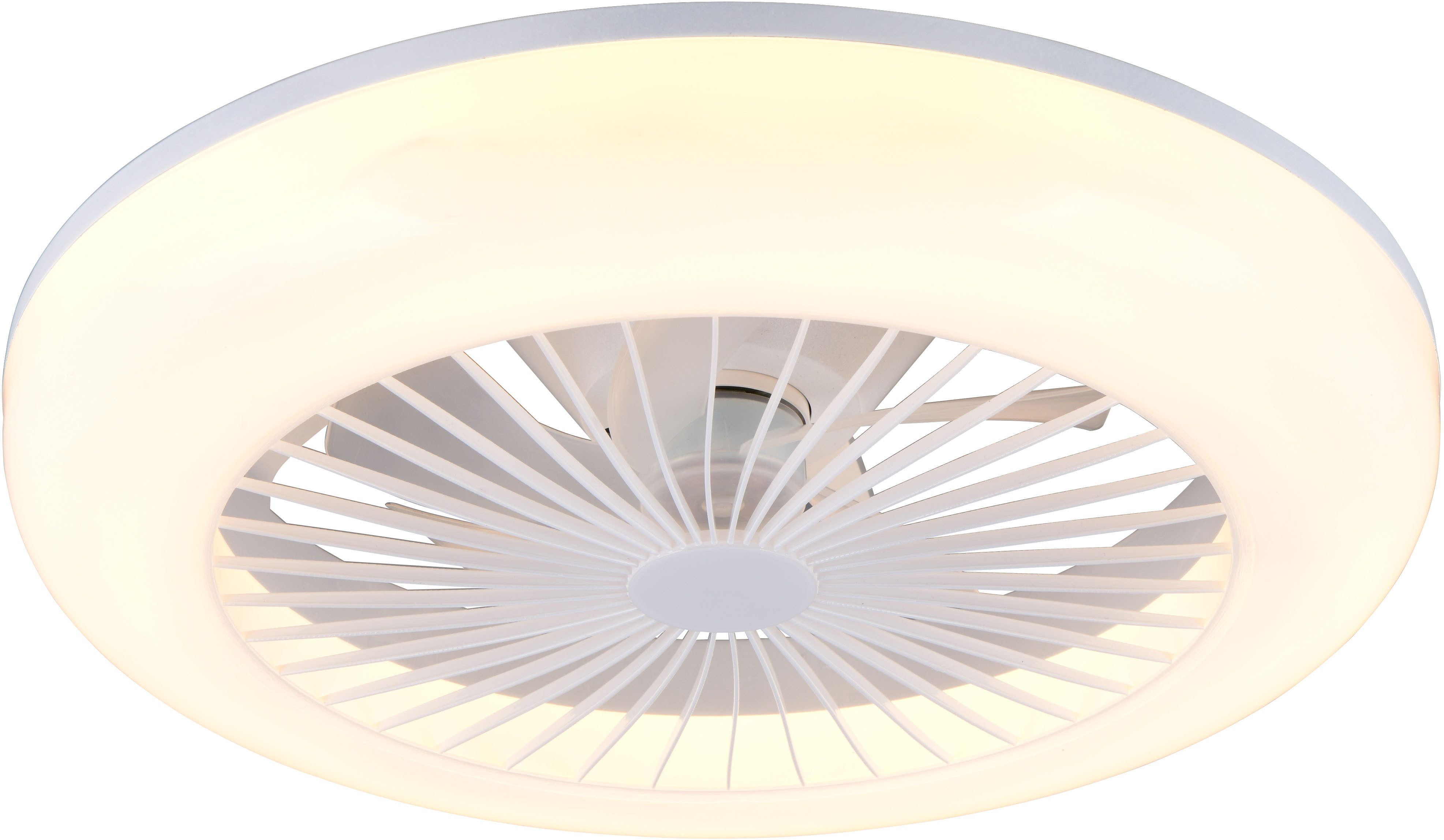 Reality Leuchten LED Deckenleuchte MORA mit günstig online kaufen
