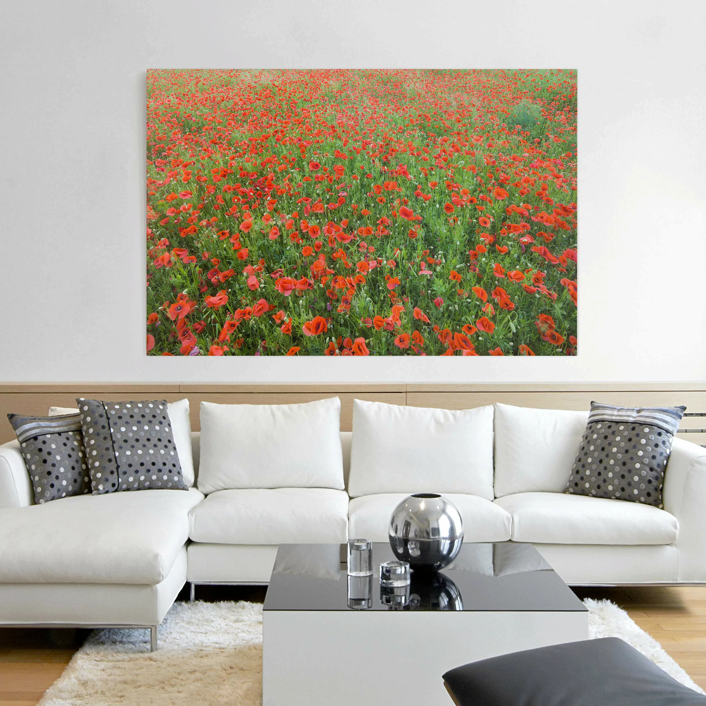 Leinwandbild Blumen - Querformat Mohnblumenfeld günstig online kaufen