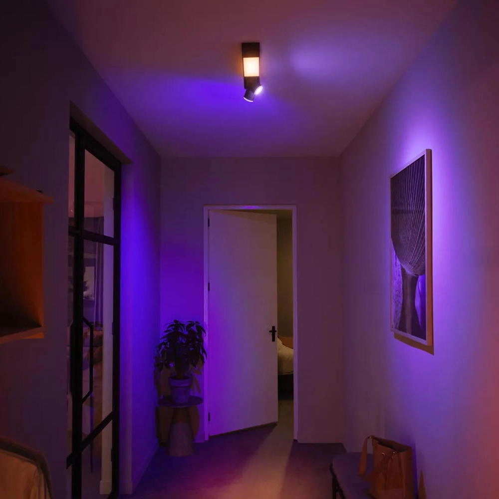 Philips Hue Bluetooth White & Color Ambiance Deckenleuchte Centris in Schwa günstig online kaufen