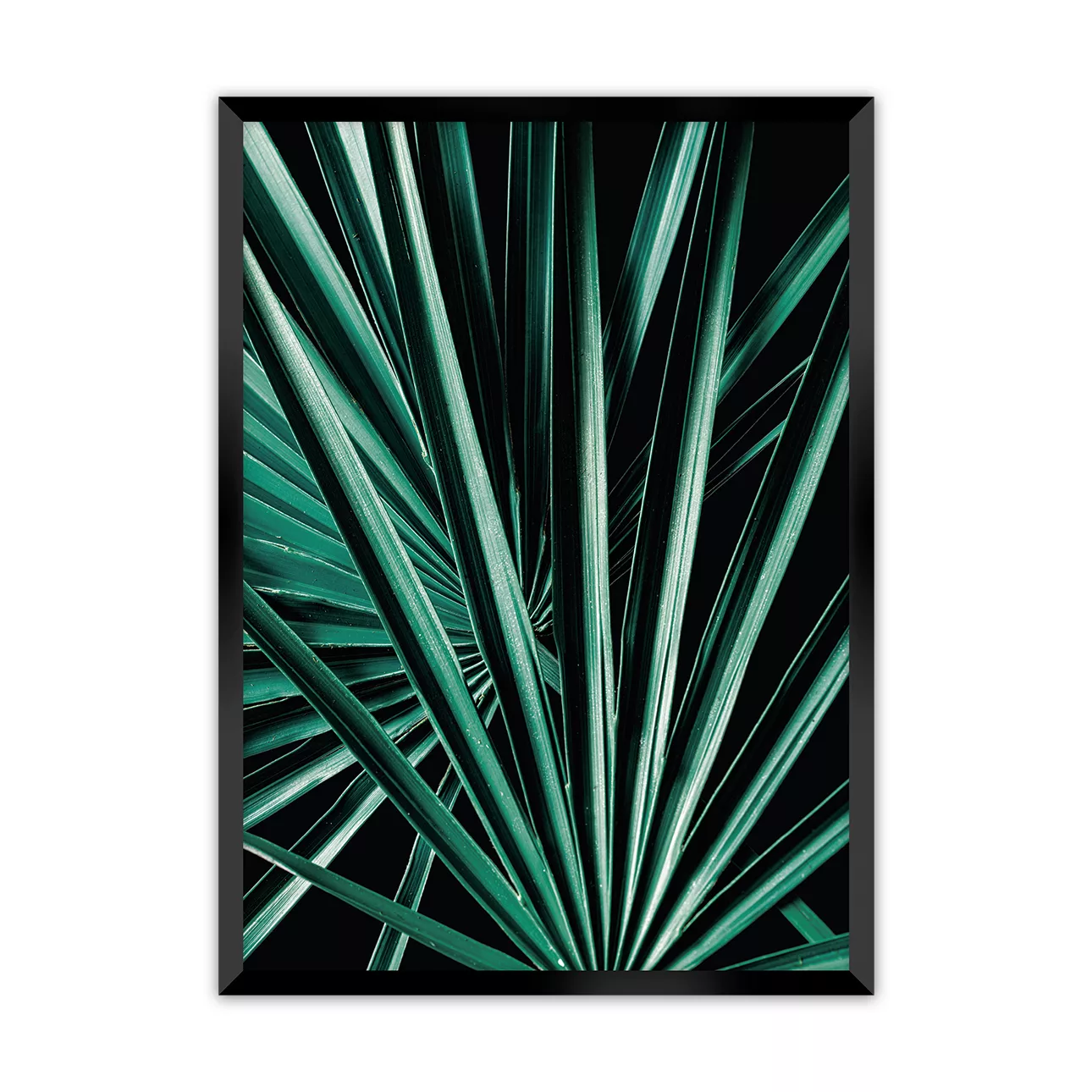 Poster Dark Palm Tree, 50 x 70 cm, Rahmen wählen: schwarz günstig online kaufen