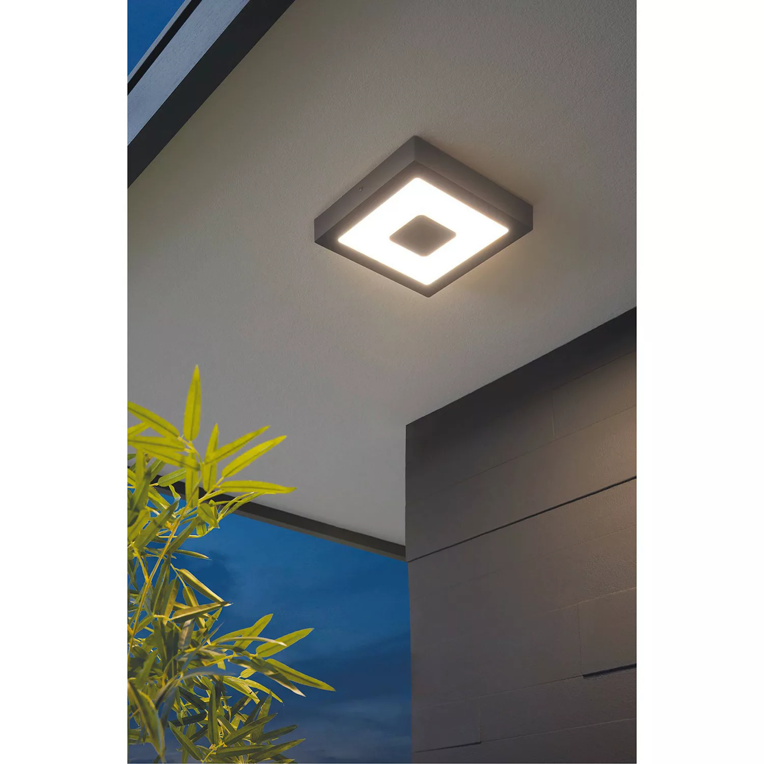 home24 LED-Deckenleuchte Iphias günstig online kaufen