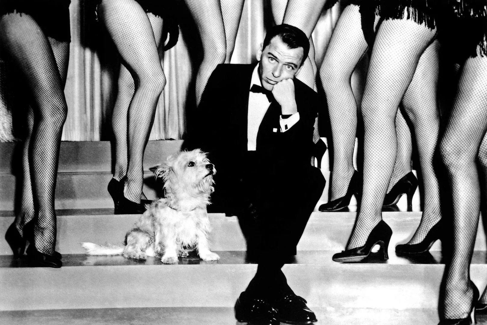 queence Acrylglasbild "Frank Sinatra", Schwarz-Weiß-Mann-Stars-Hund, Fine A günstig online kaufen