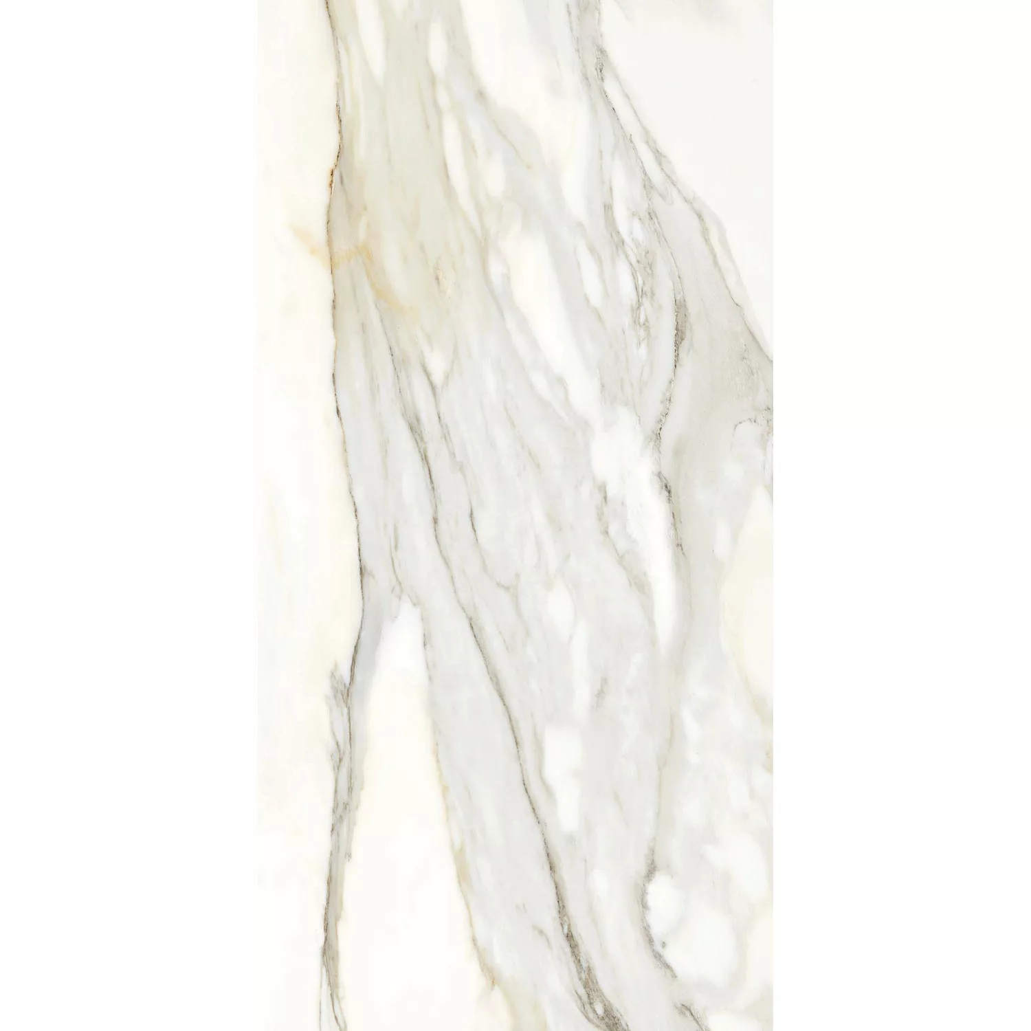 Bodenfliese Feinsteinzeug Creme 60 cm x 120 cm günstig online kaufen