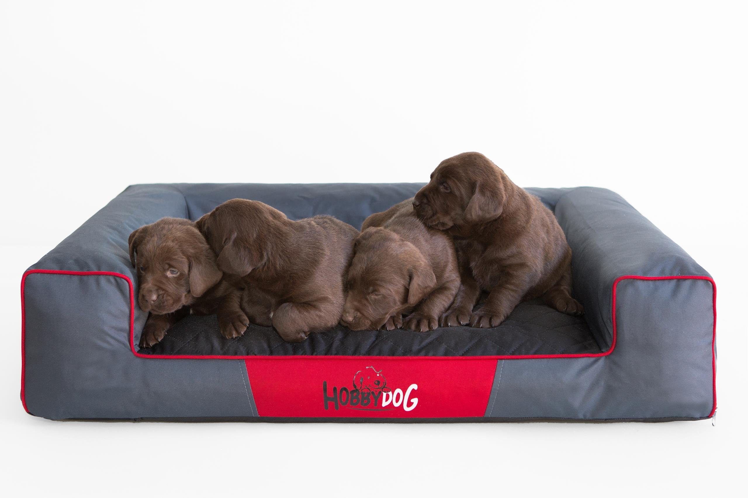 Bjird Tierbett Hundebett Emma für kleine günstig online kaufen