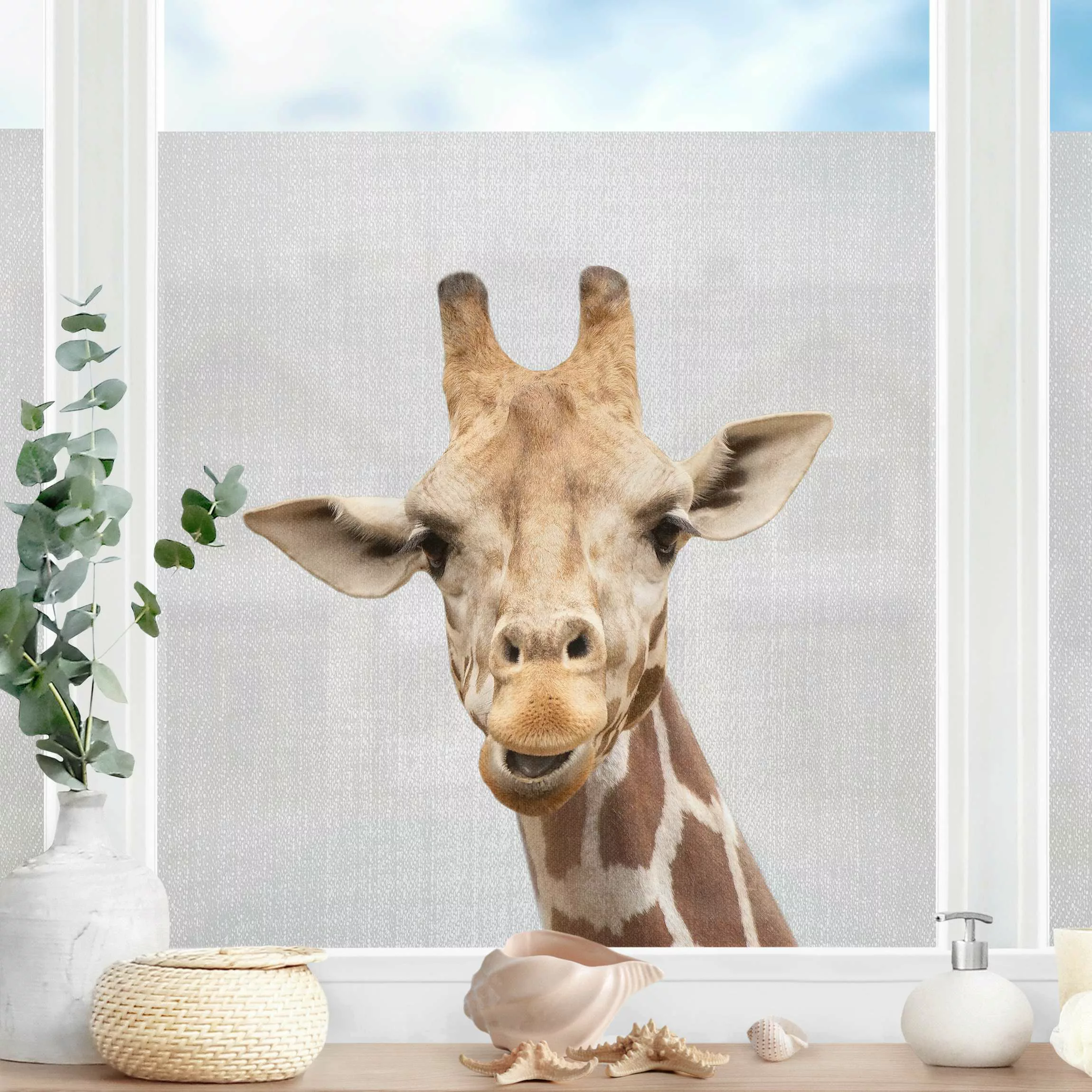 Fensterfolie Giraffe Gundel günstig online kaufen
