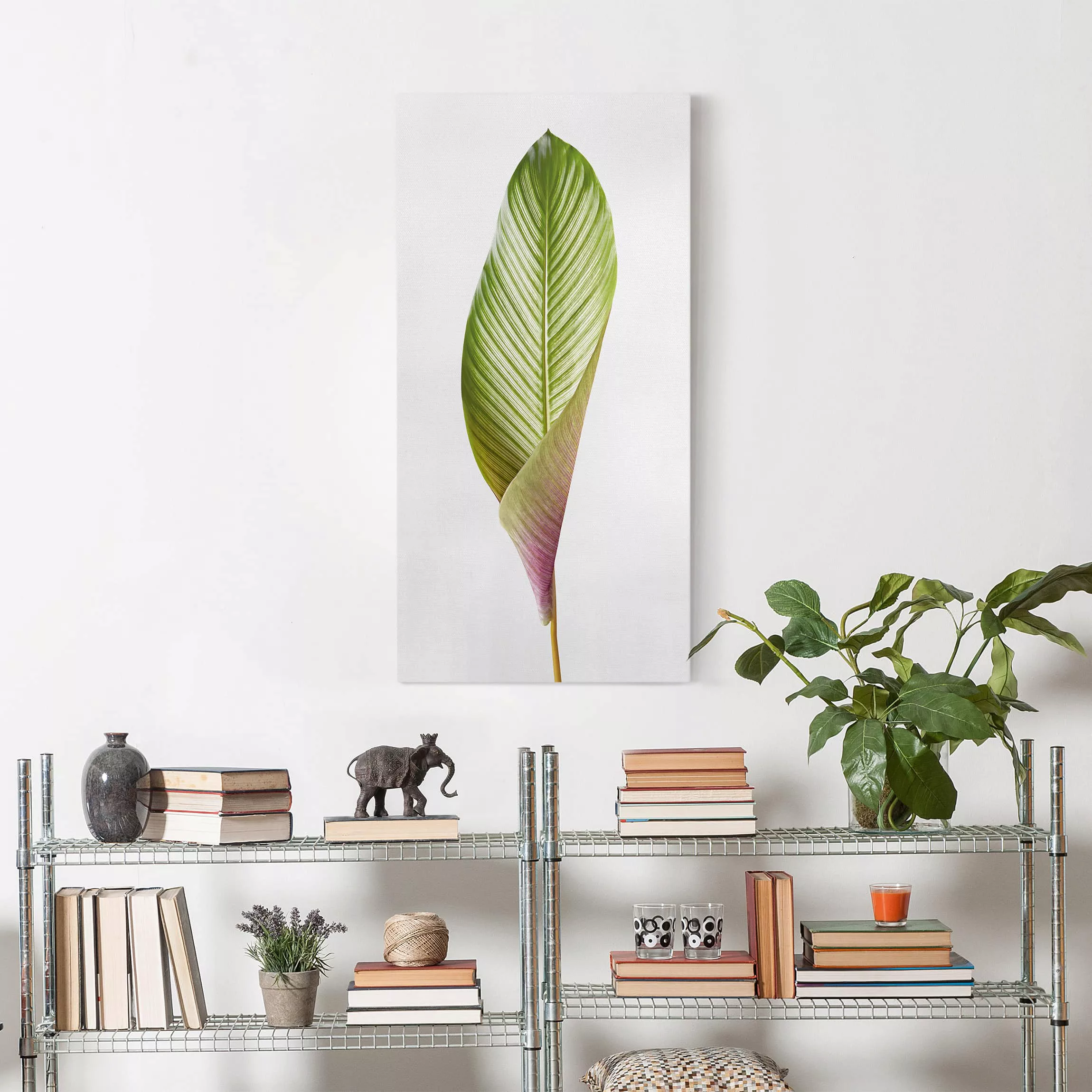 Leinwandbild - Hochformat Blatt Calathea-ornata 03 günstig online kaufen