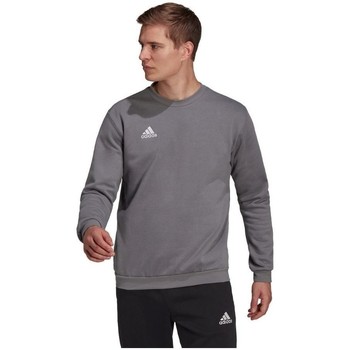 adidas  Sweatshirt Entrada 22 günstig online kaufen