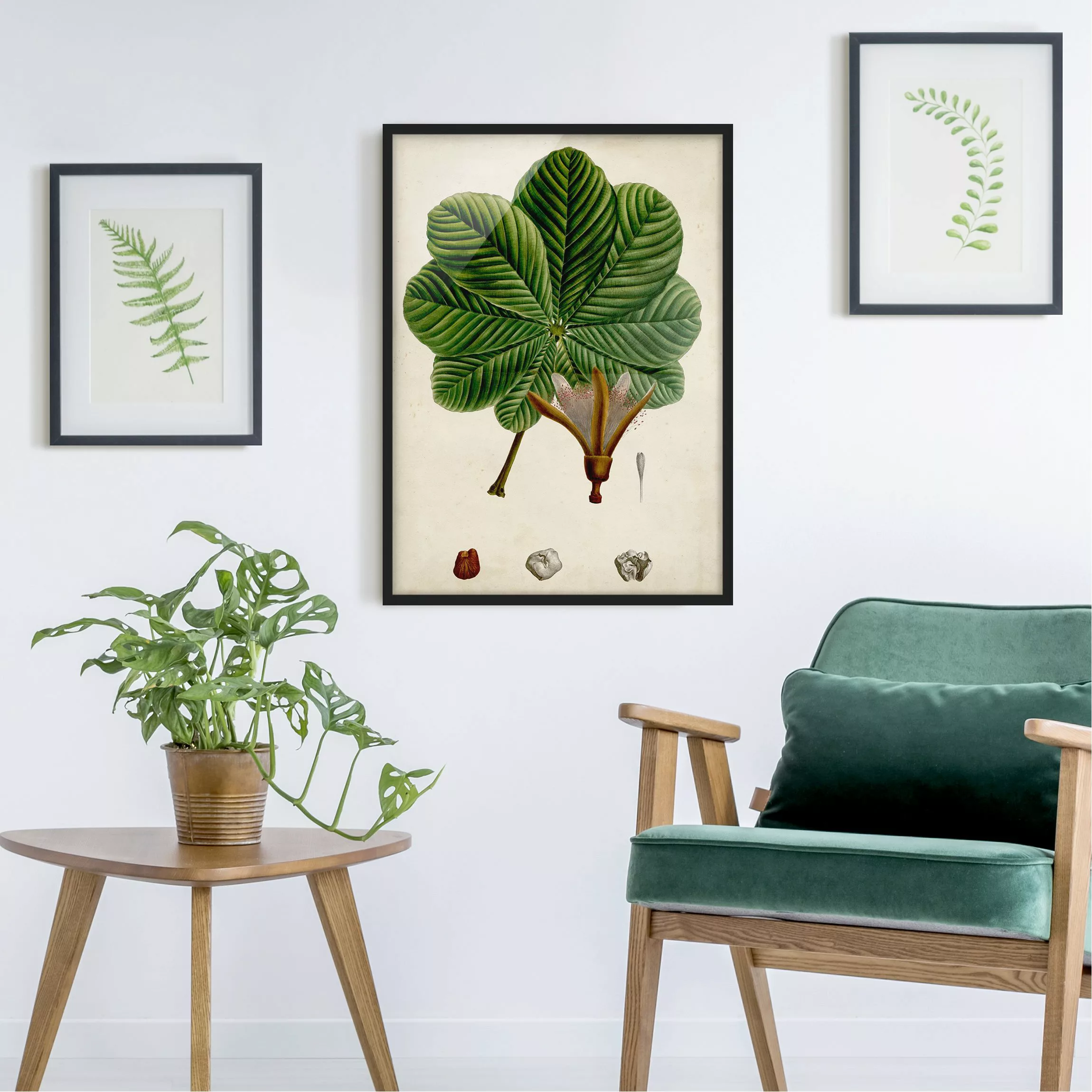 Bild mit Rahmen Blumen - Hochformat Laubbaum Schautafel II günstig online kaufen