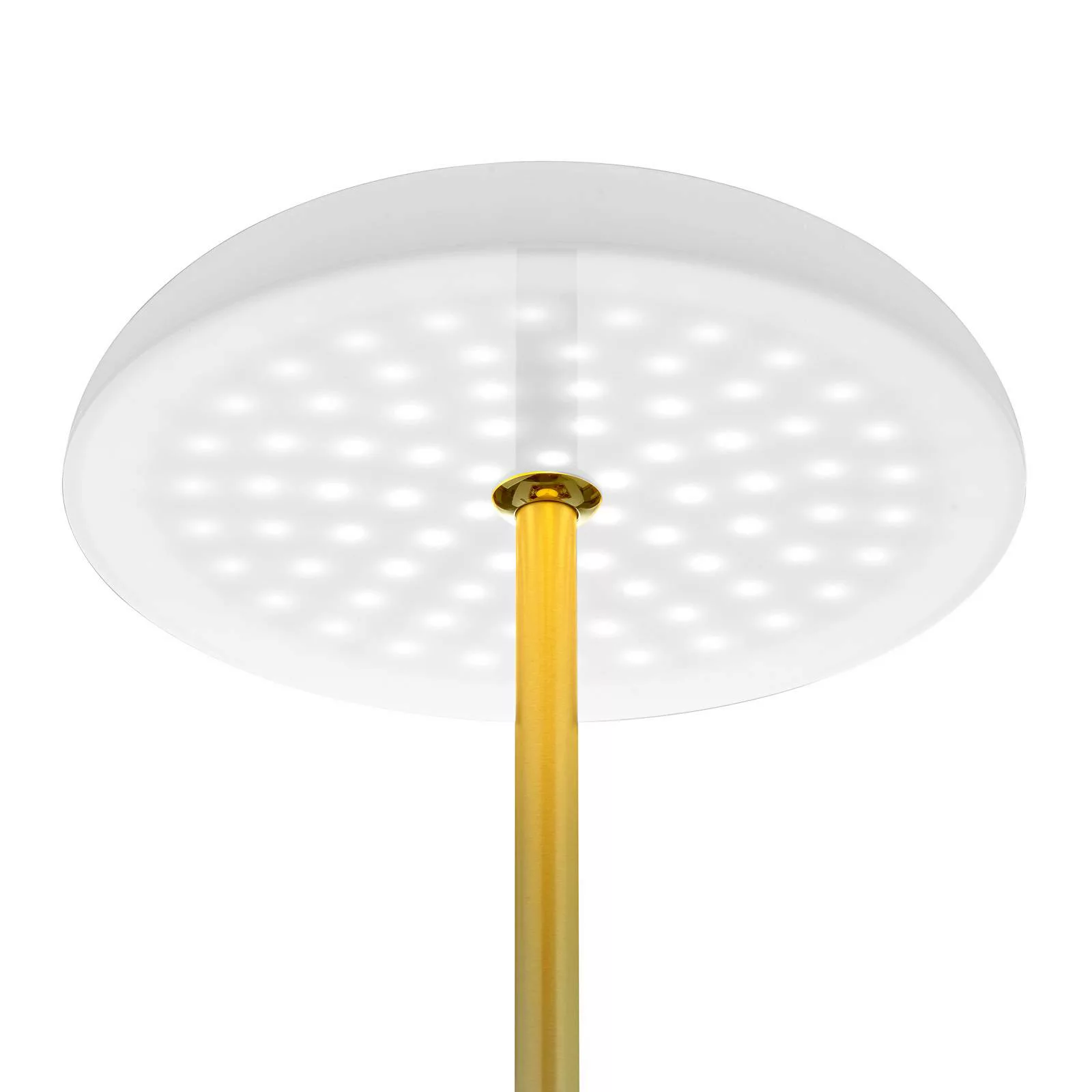 BANKAMP Vanity LED-Tischleuchte Tastdimmer messing günstig online kaufen