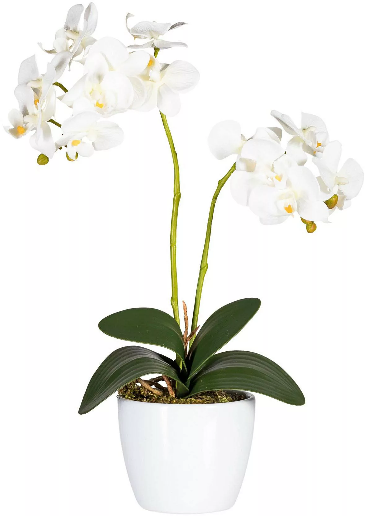 Creativ green Kunstpflanze "Phalaenopsis" günstig online kaufen