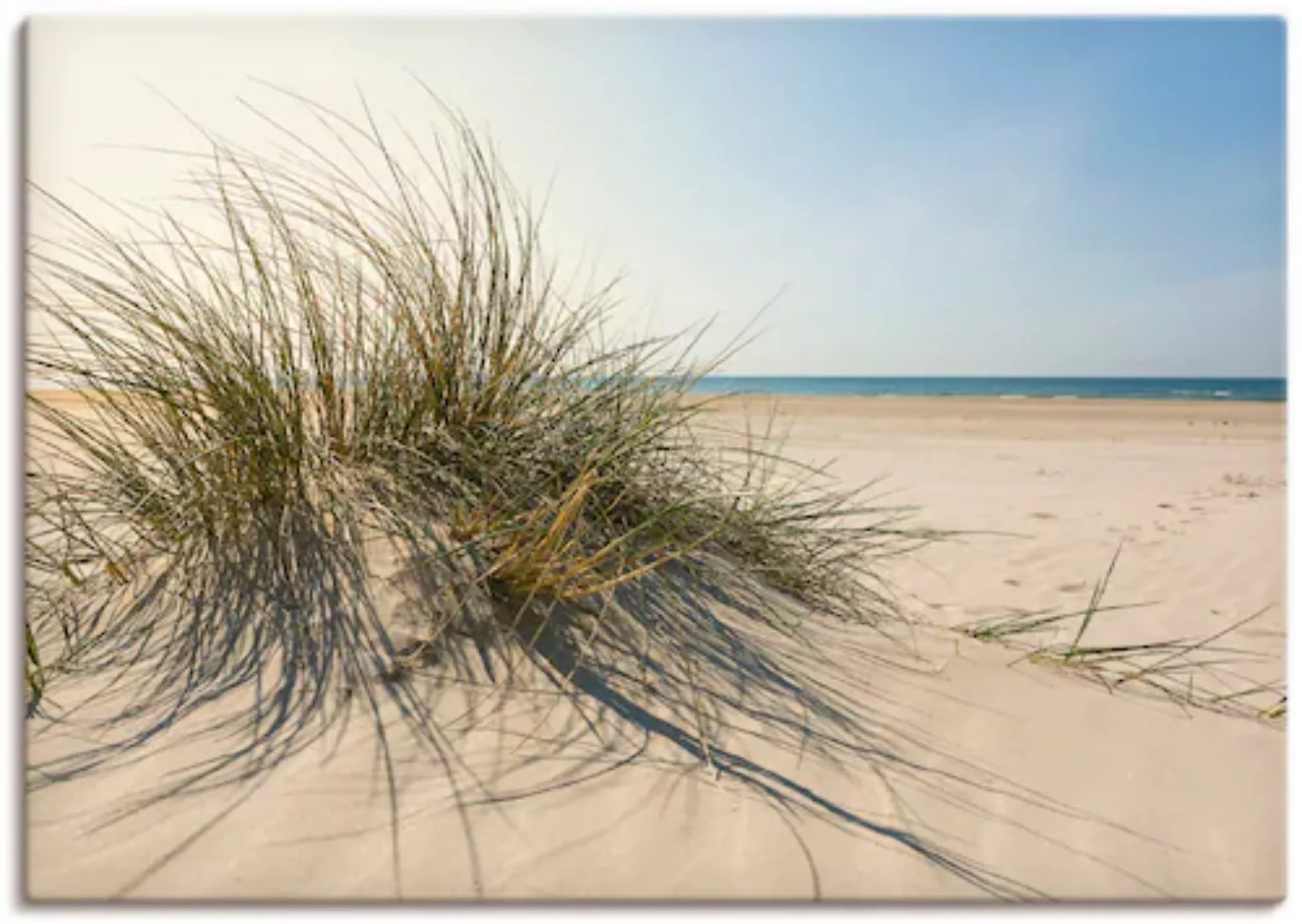 Artland Wandbild "Strandgras", Küste, (1 St.), als Alubild, Outdoorbild, Le günstig online kaufen