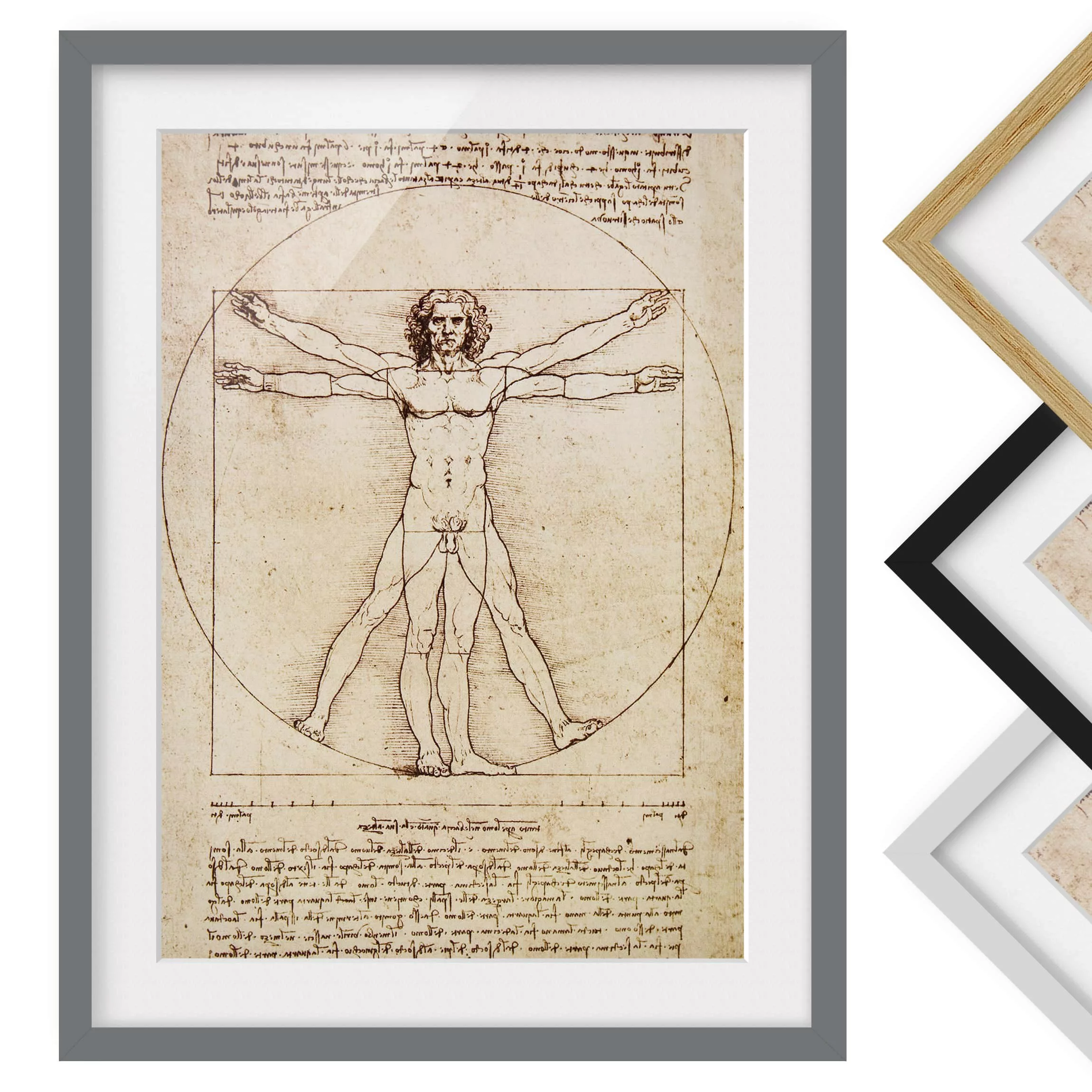 home24 Bild Da Vinci III günstig online kaufen