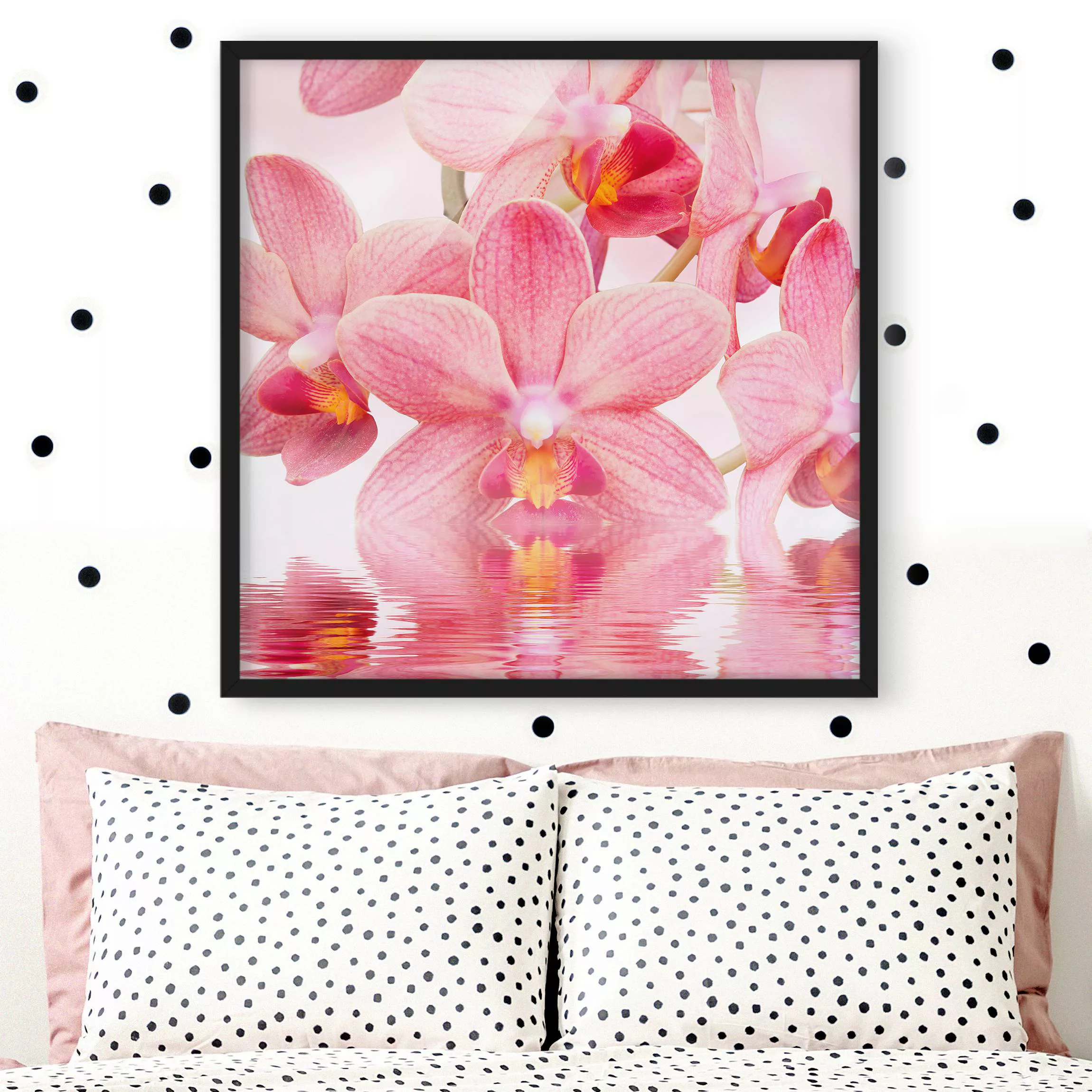 Bild mit Rahmen Blumen - Quadrat Rosa Orchideen auf Wasser günstig online kaufen