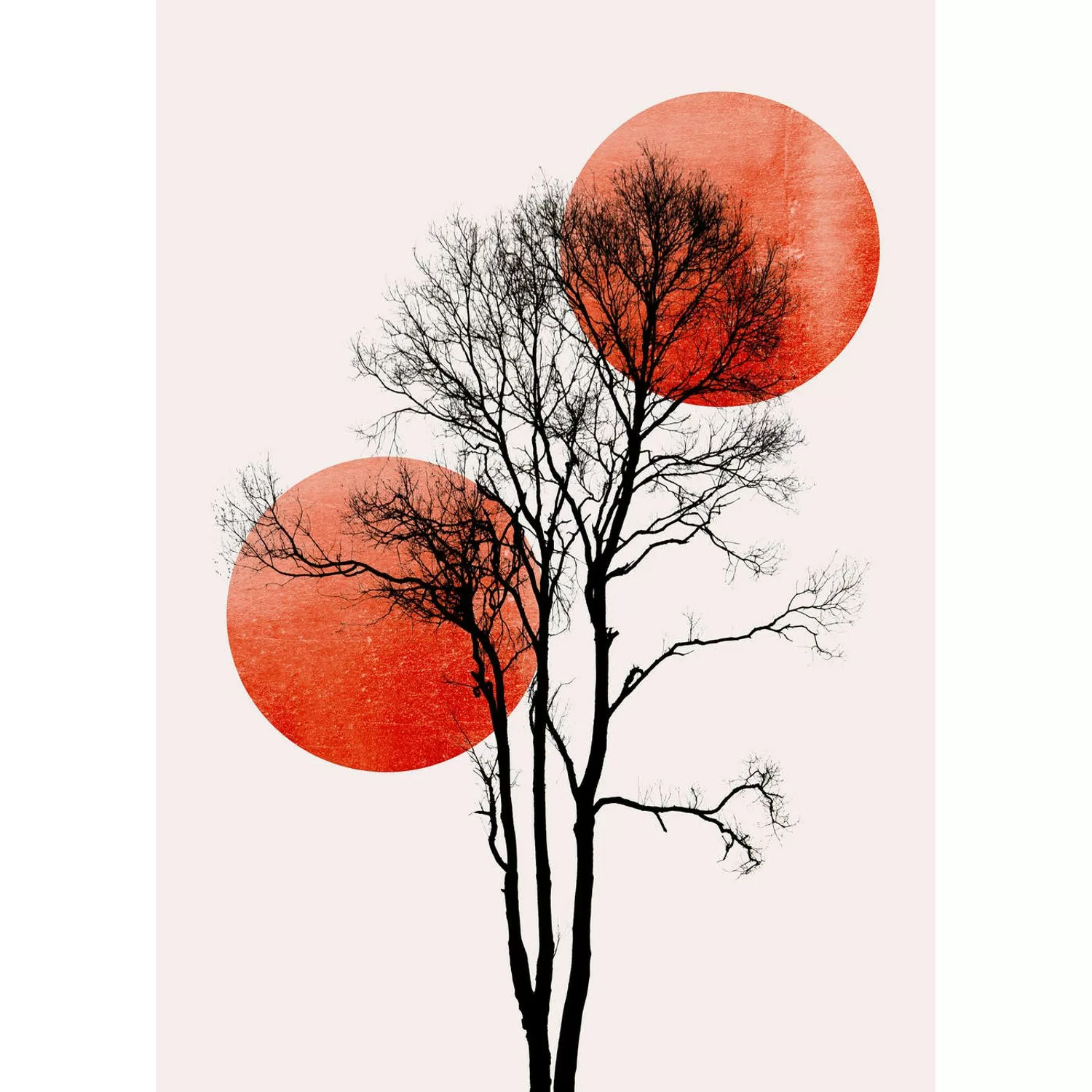 Fototapete Bäume Sonnen Mond Rot Schwarz Weiß 2,00 m x 2,80 m FSC® günstig online kaufen