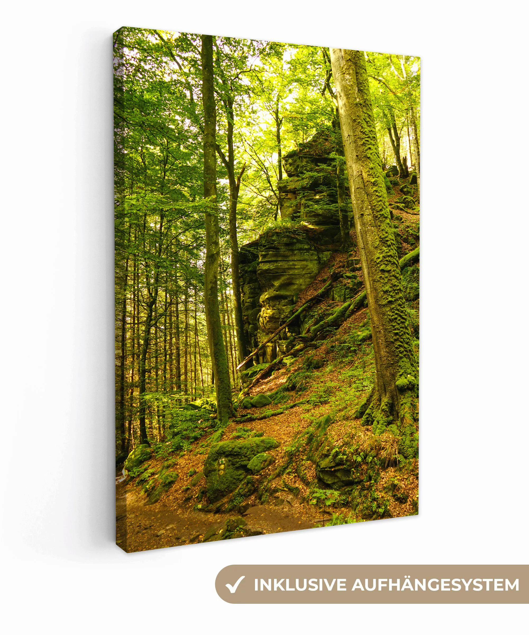 OneMillionCanvasses® Leinwandbild Bäume - Stein - günstig online kaufen