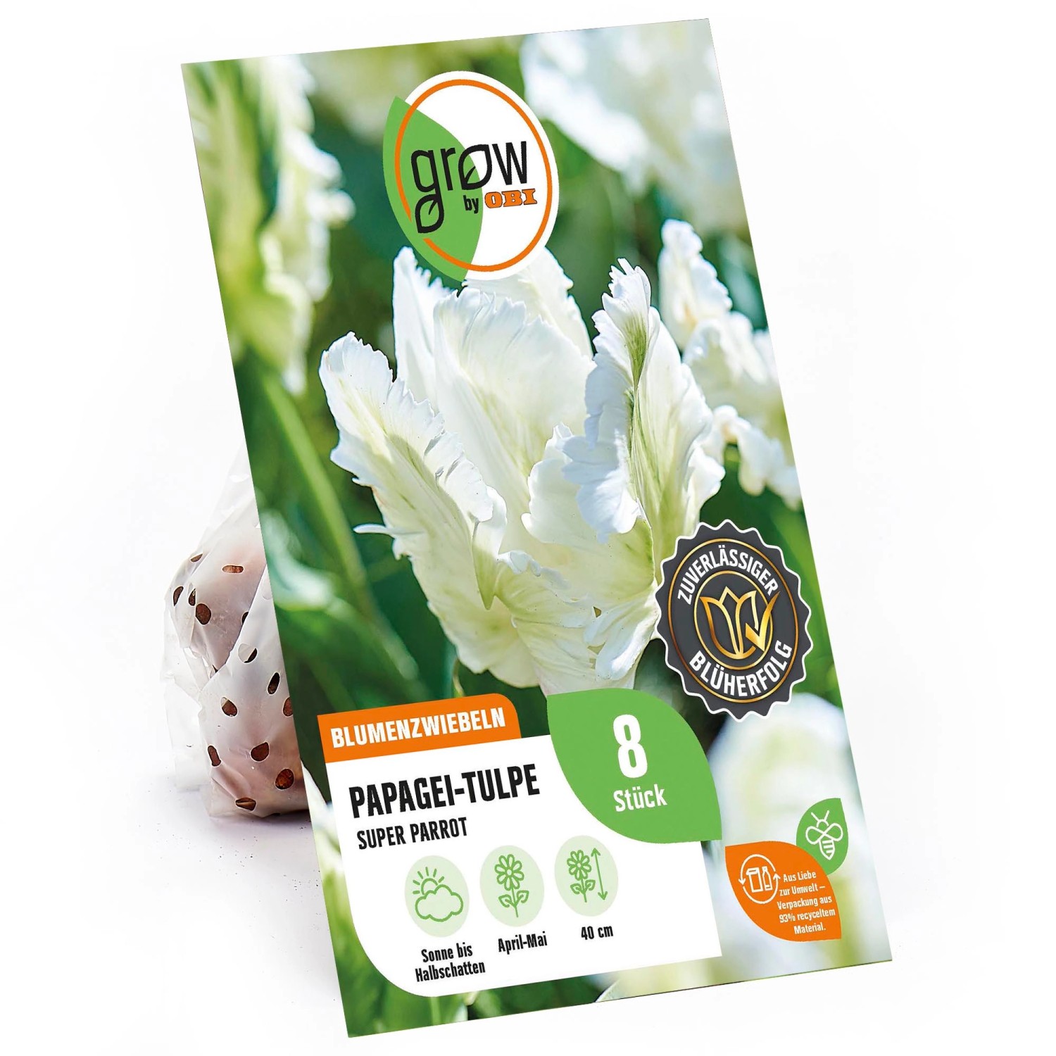 GROW by OBI Papagei-Tulpe Super Parrot Weiß-Grün 8 Stück Tulipa günstig online kaufen