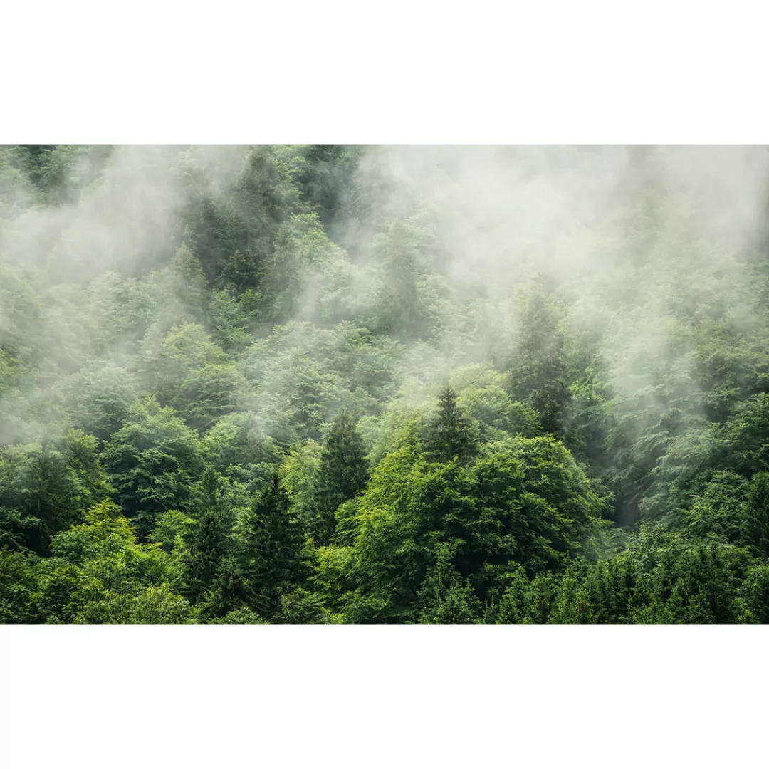 Komar Vliestapete »Digitaldruck Vlies - Forest Land - Größe 400 x 250 cm«, günstig online kaufen