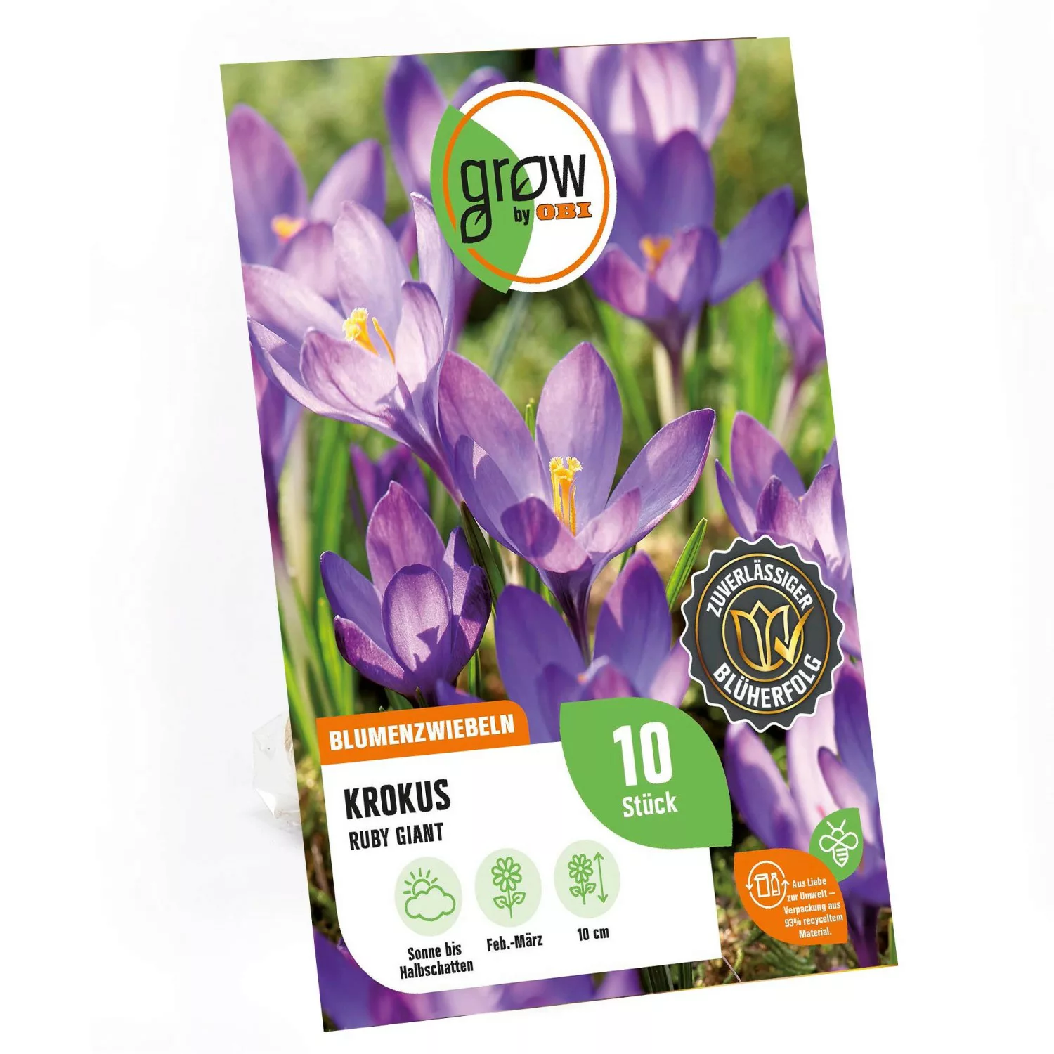 GROW by OBI Krokus Ruby Giant Blau 10 cm Crocus tommasinianus günstig online kaufen