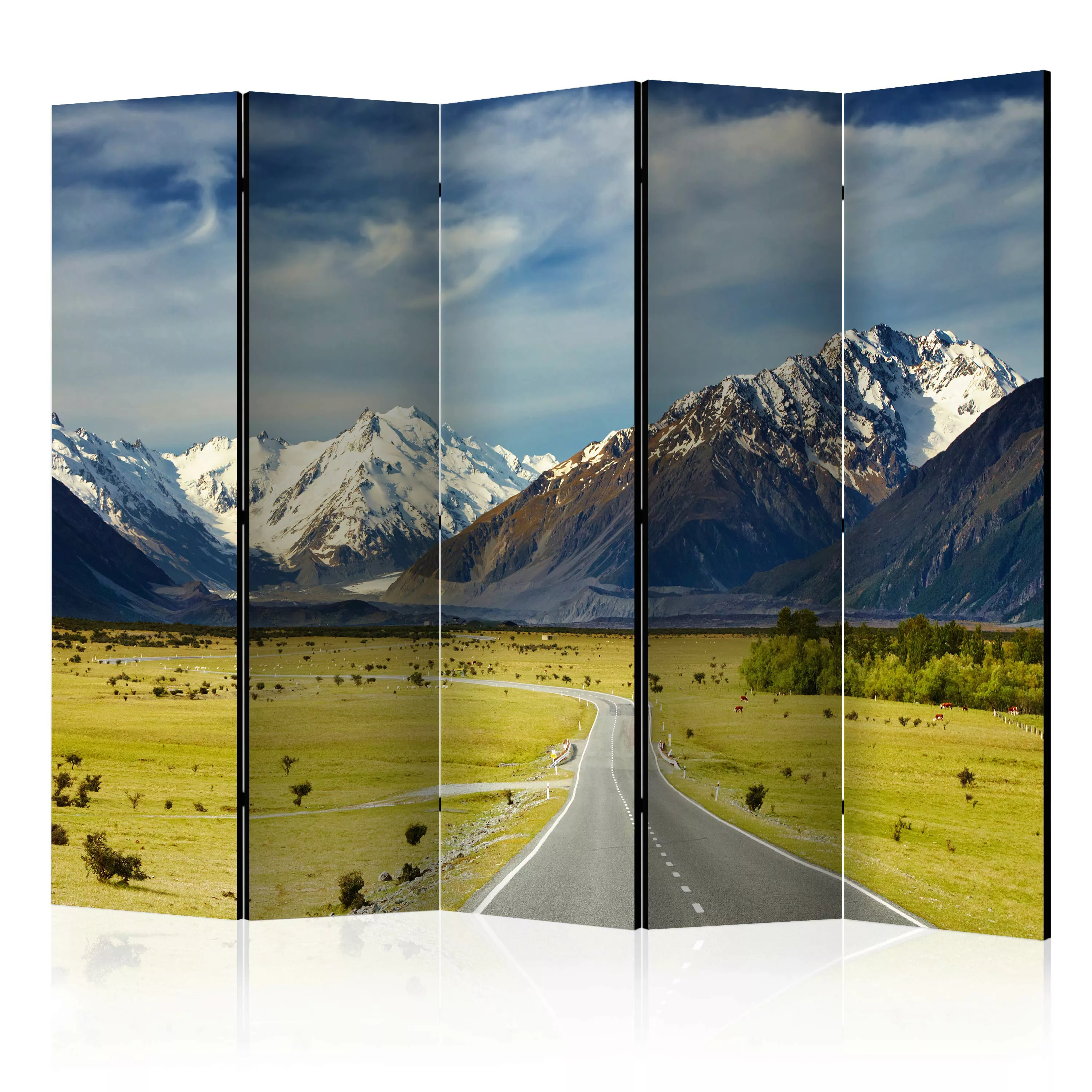 5-teiliges Paravent - Southern Alps, New Zealand Ii [room Dividers] günstig online kaufen