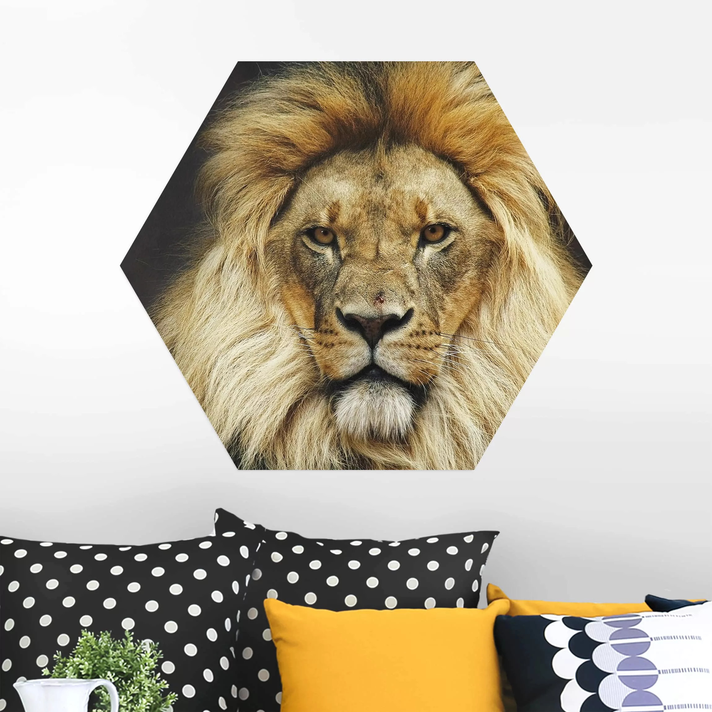 Hexagon-Alu-Dibond Bild Wisdom of Lion günstig online kaufen