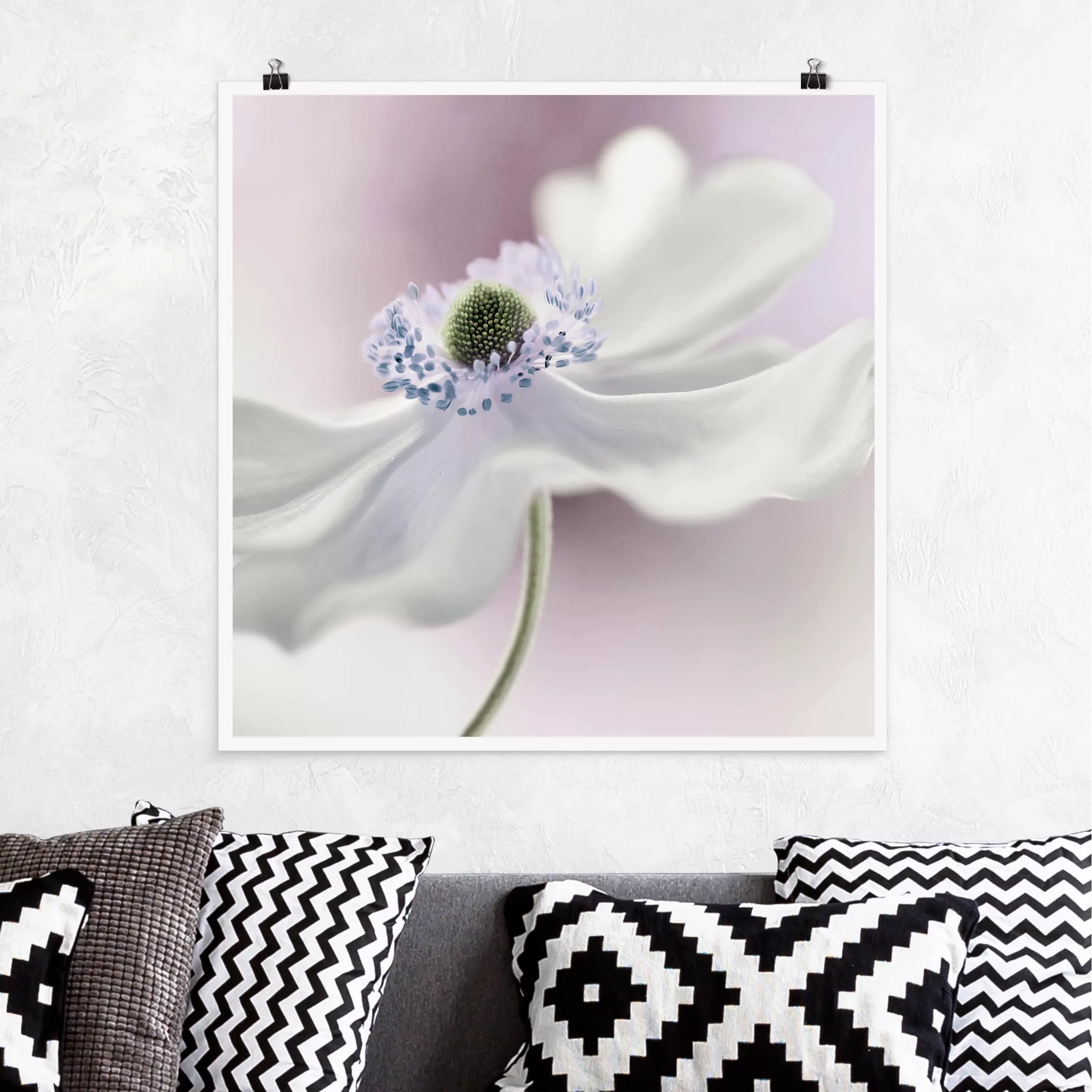 Poster Blumen - Quadrat Anemonenbrise günstig online kaufen