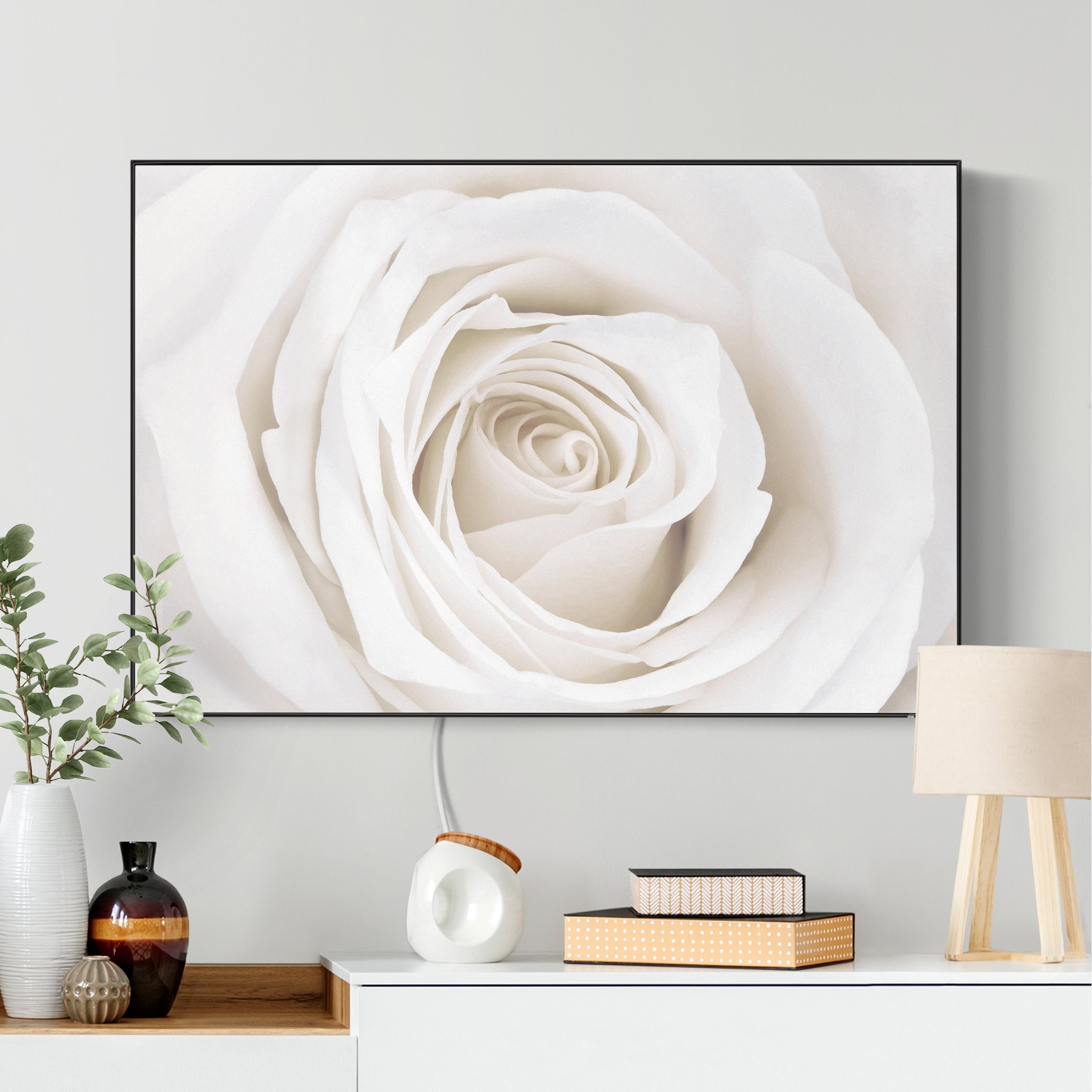 LED-Wechselbild Pretty White Rose günstig online kaufen