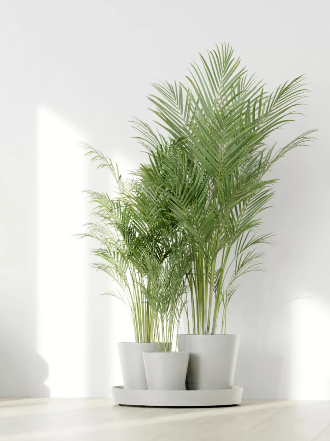 ECOPOTS Blumentopf "Dubai Weiß", für innen und außen: frostsicher, bruchsic günstig online kaufen