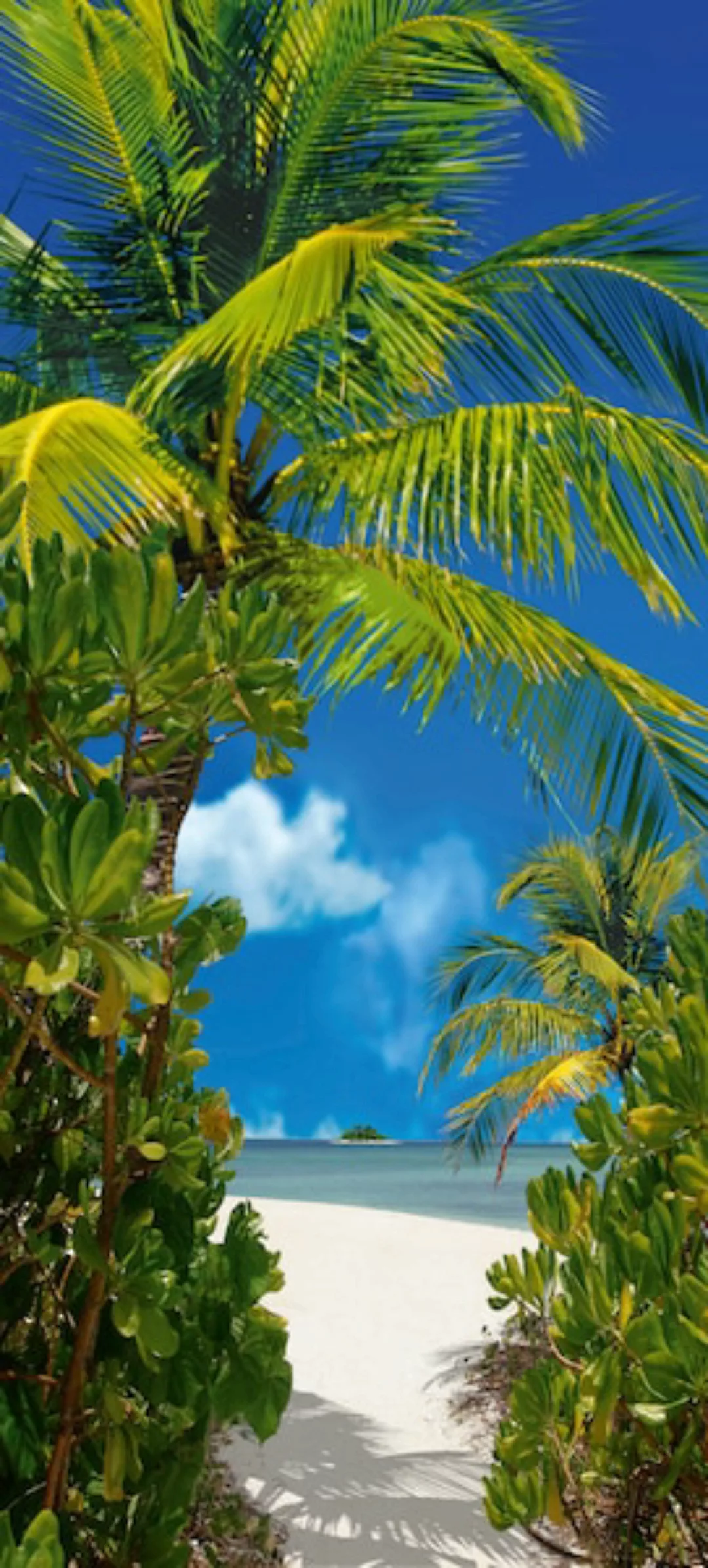 Papermoon Fototapete »Tahiti - Türtapete«, matt günstig online kaufen