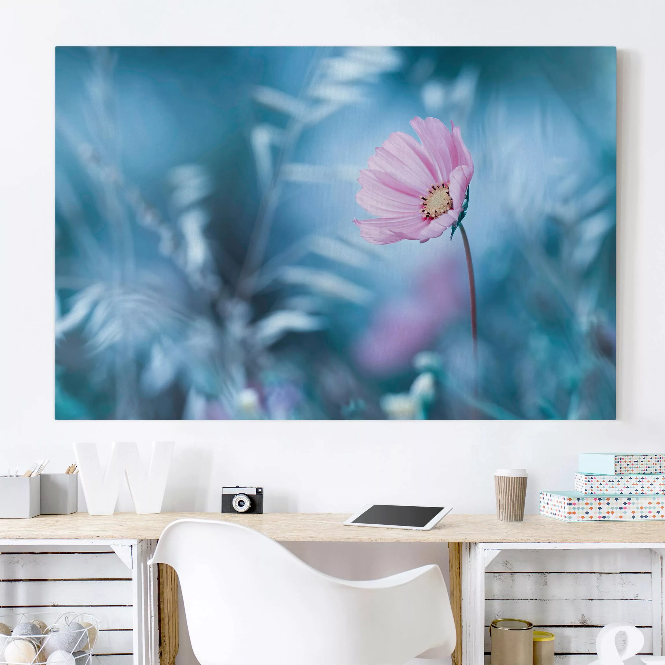 Leinwandbild Blumen - Querformat Blüte in Pastell günstig online kaufen