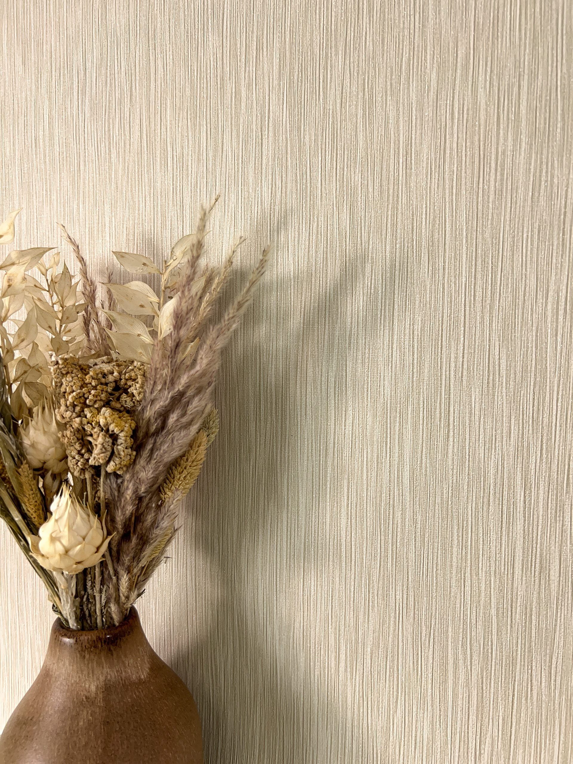 Newroom Vliestapete, Beige Tapete Modern Unifarbe günstig online kaufen