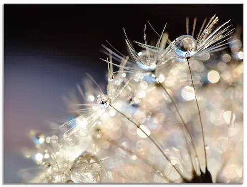 Artland Glasbild »Pusteblume Fantasie«, Blumen, (1 St.), in verschiedenen G günstig online kaufen