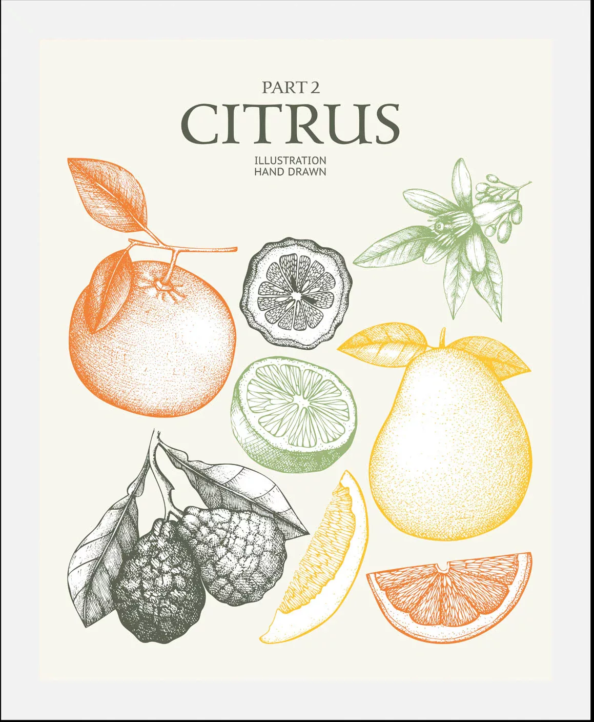 queence Bild »Citrus«, (1 St.), gerahmt günstig online kaufen