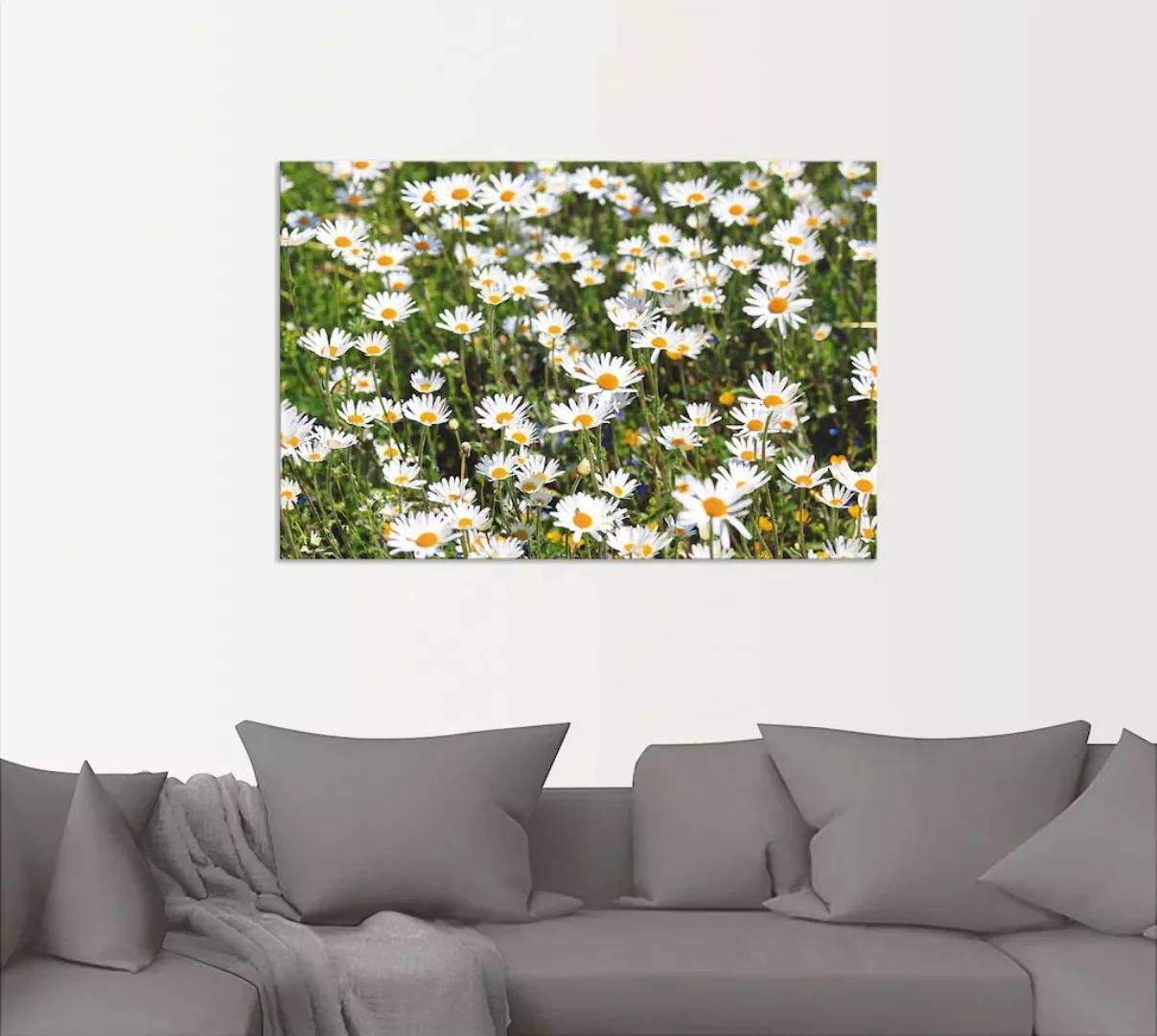 Artland Wandbild "Gänseblümchen", Blumen, (1 St.), als Alubild, Outdoorbild günstig online kaufen