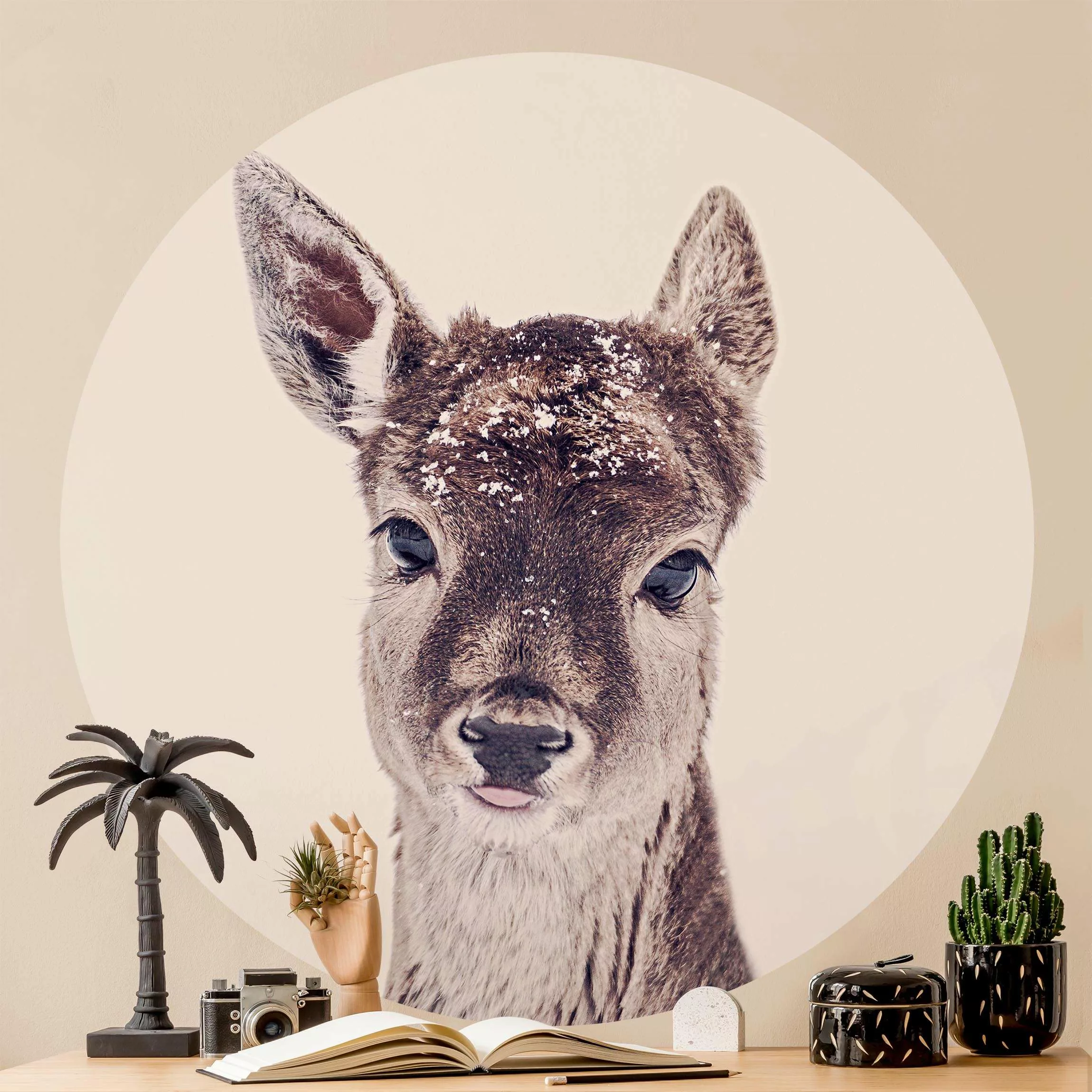 Bilderwelten Runde Tapete selbstklebend Reh Kitz Portrait weiß Gr. 50 x 50 günstig online kaufen