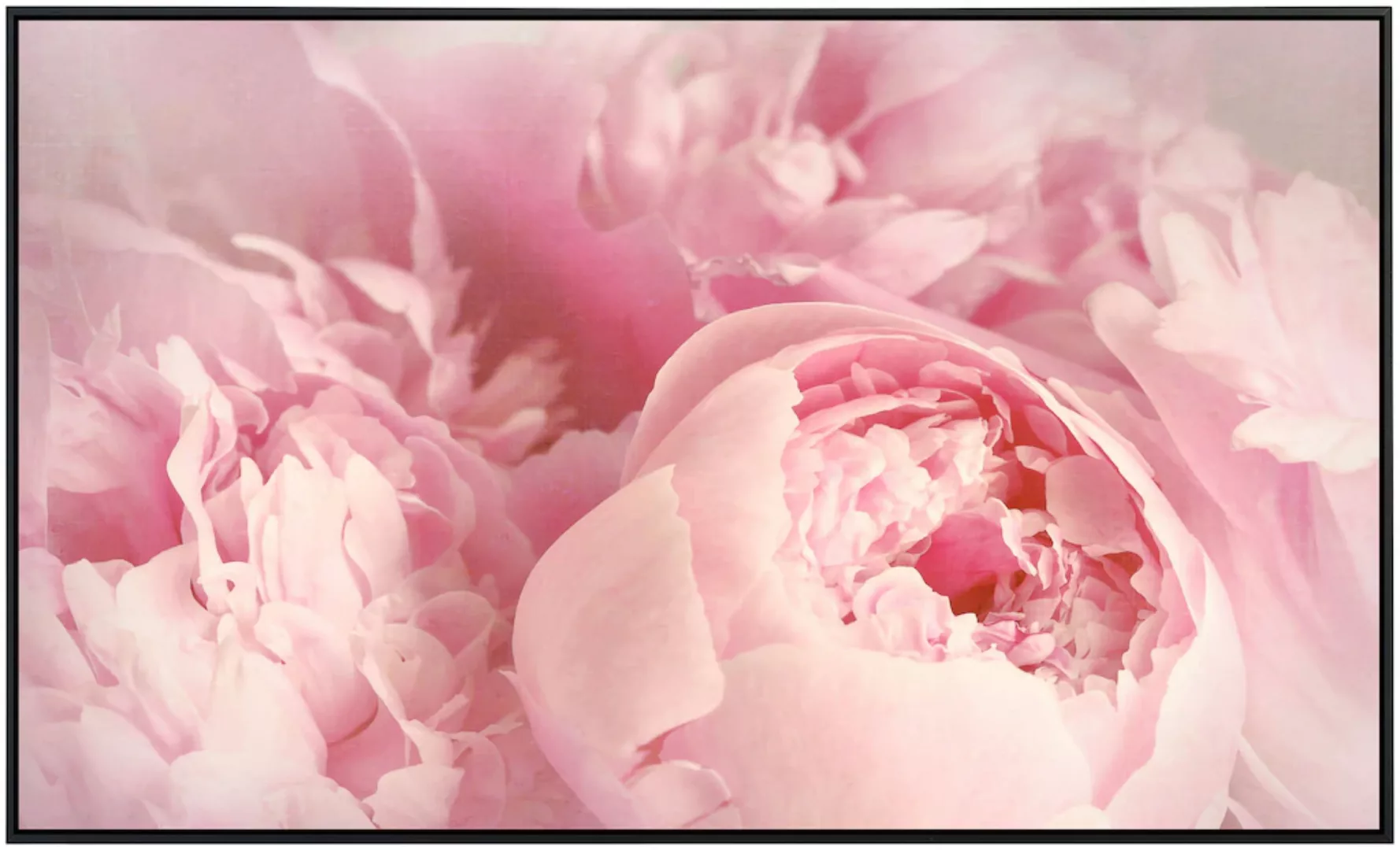 Papermoon Infrarotheizung »Pfingstrosenblumen«, sehr angenehme Strahlungswä günstig online kaufen