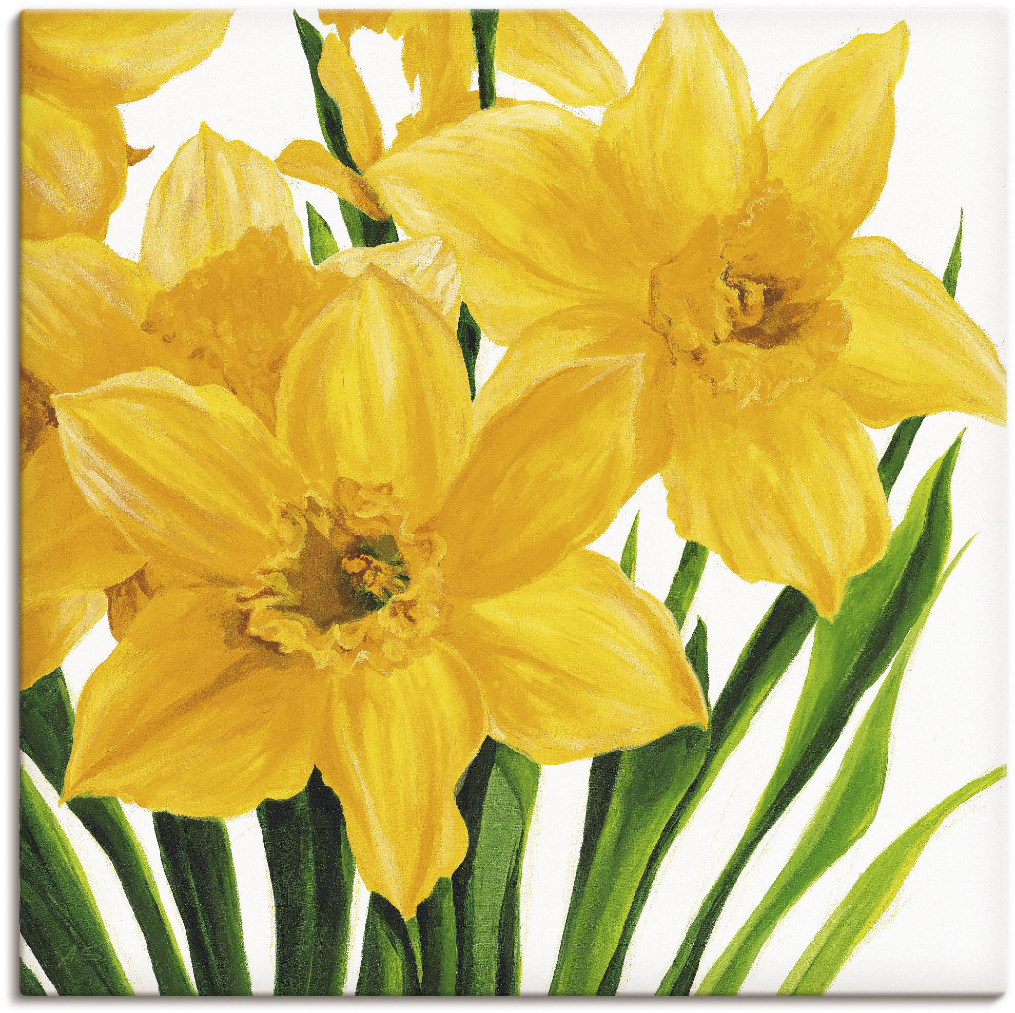 Artland Leinwandbild "Gelbe Narzissen", Blumen, (1 St.), auf Keilrahmen ges günstig online kaufen