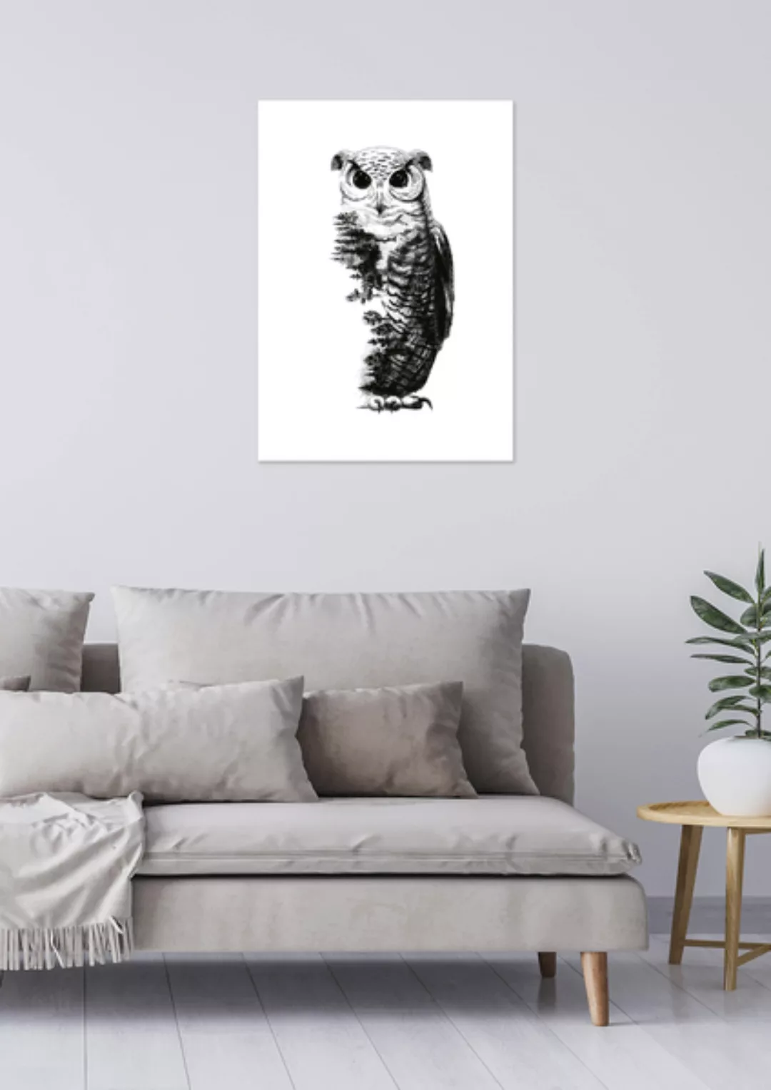 Poster Animal Owl Matt günstig online kaufen