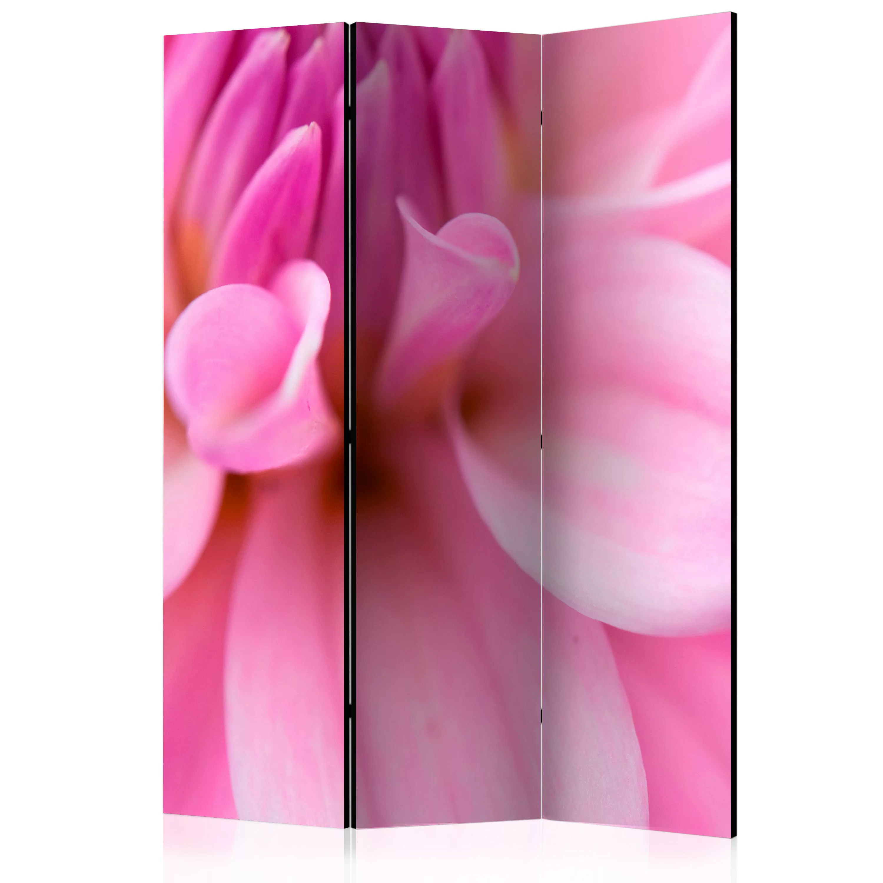 3-teiliges Paravent - Flower Petals - Dahlia [room Dividers] günstig online kaufen