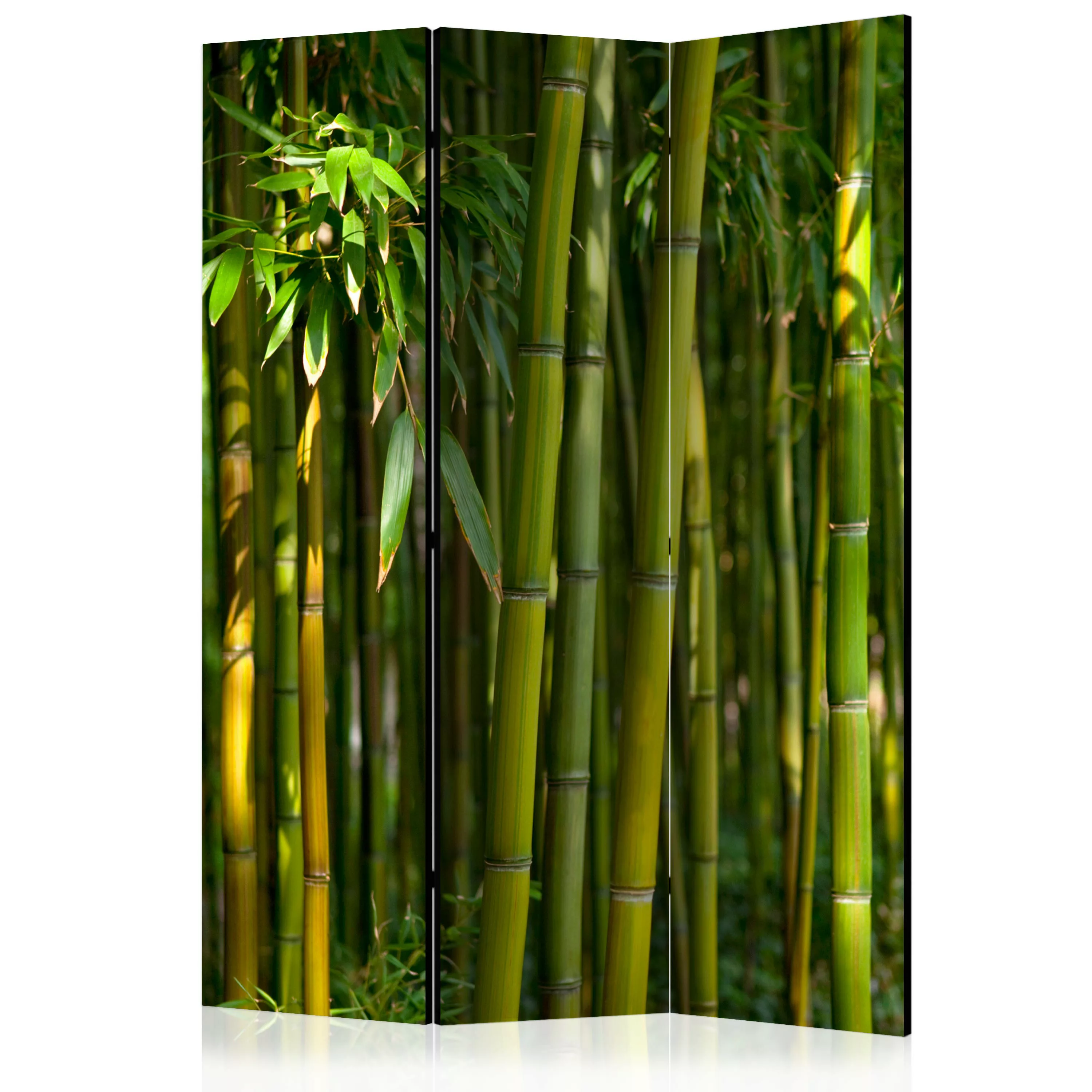 3-teiliges Paravent - Oriental Garden [room Dividers] günstig online kaufen