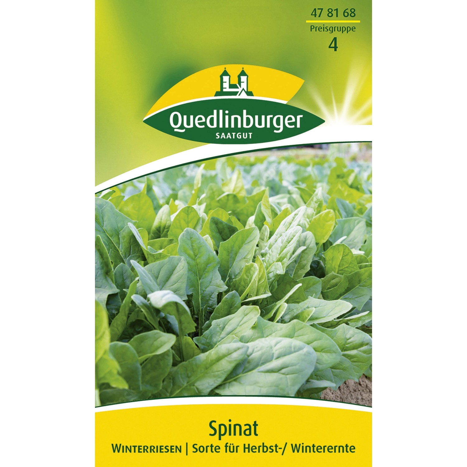 Quedlinburger Spinat ''Winter Riesen'' günstig online kaufen