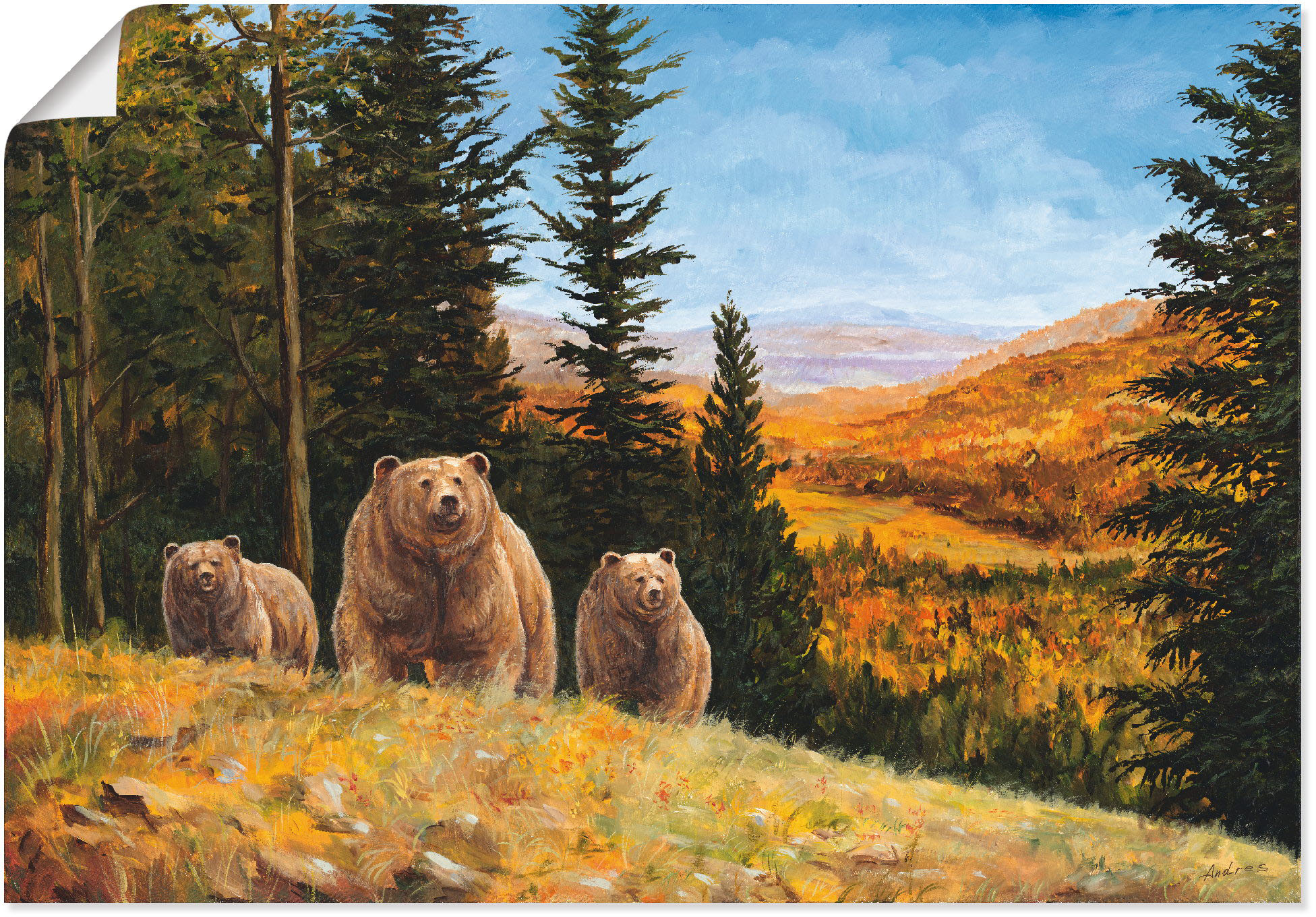 Artland Wandbild "Grizzly Bären", Wildtiere, (1 St.), als Leinwandbild, Pos günstig online kaufen