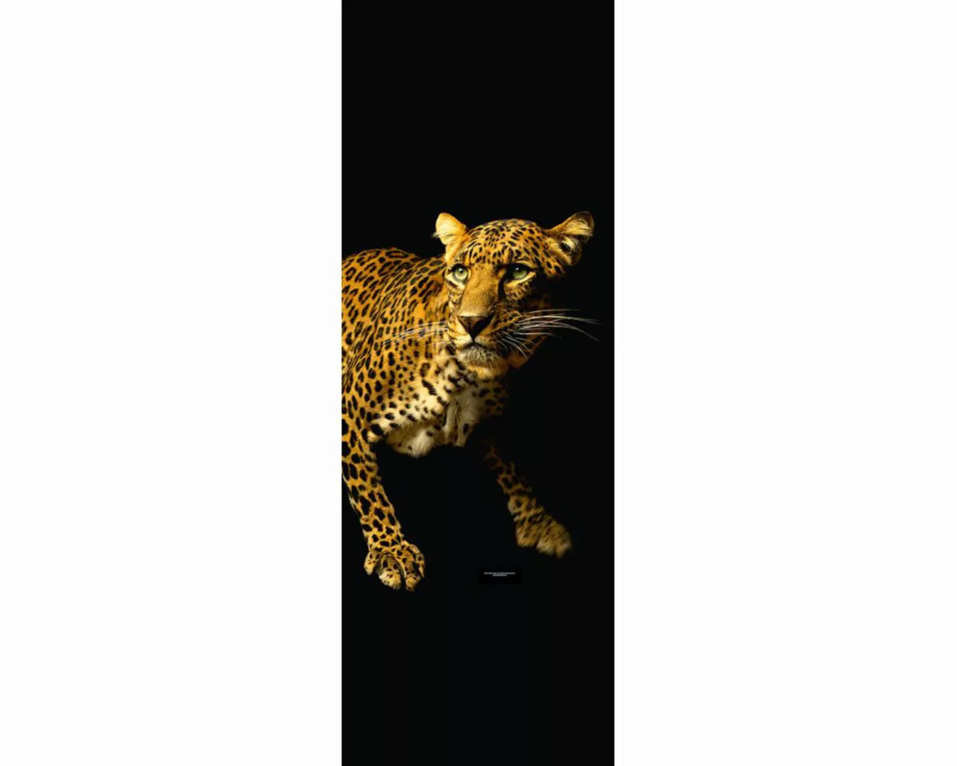 Dekopanel "Leopard" 1,00x2,80 m / Glattvlies Perlmutt günstig online kaufen