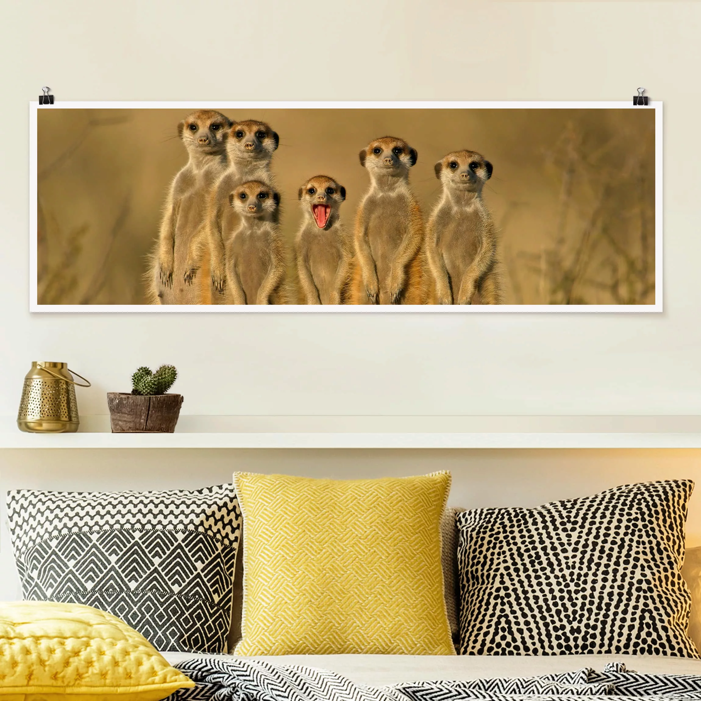 Panorama Poster Tiere Meerkat Family günstig online kaufen