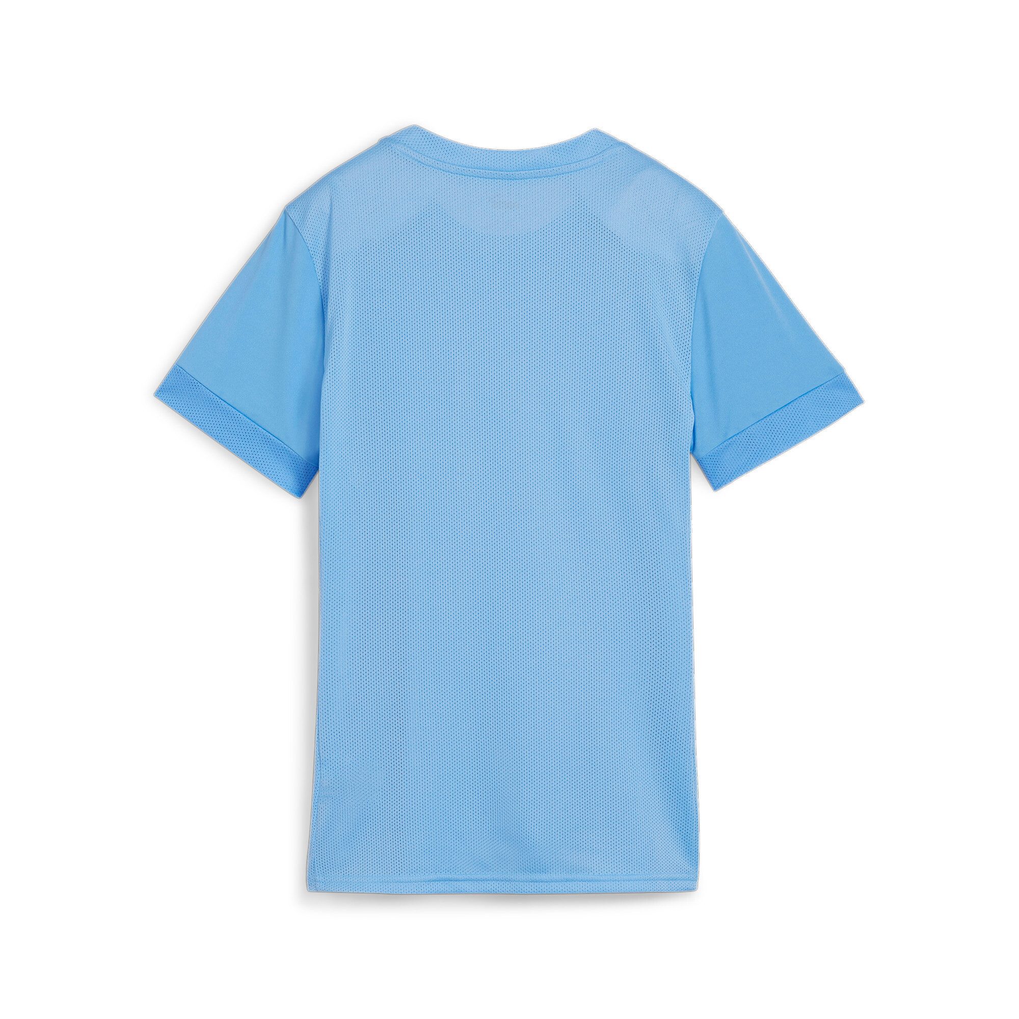 PUMA Trainingstop TEAMGOAL MATCHDAY JERSEY WMNS günstig online kaufen