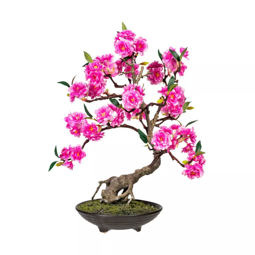 Kunstpflanze Bonsai Cerasum pink Kunststoff B/H/L: ca. 28x52x28 cm günstig online kaufen