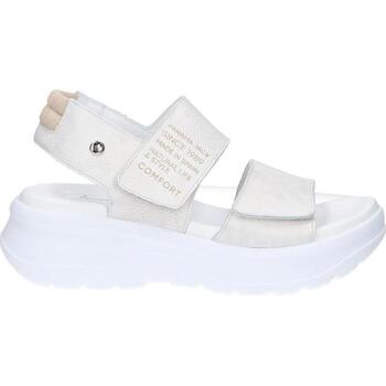 Panama Jack  Sandalen NOAH B9 günstig online kaufen